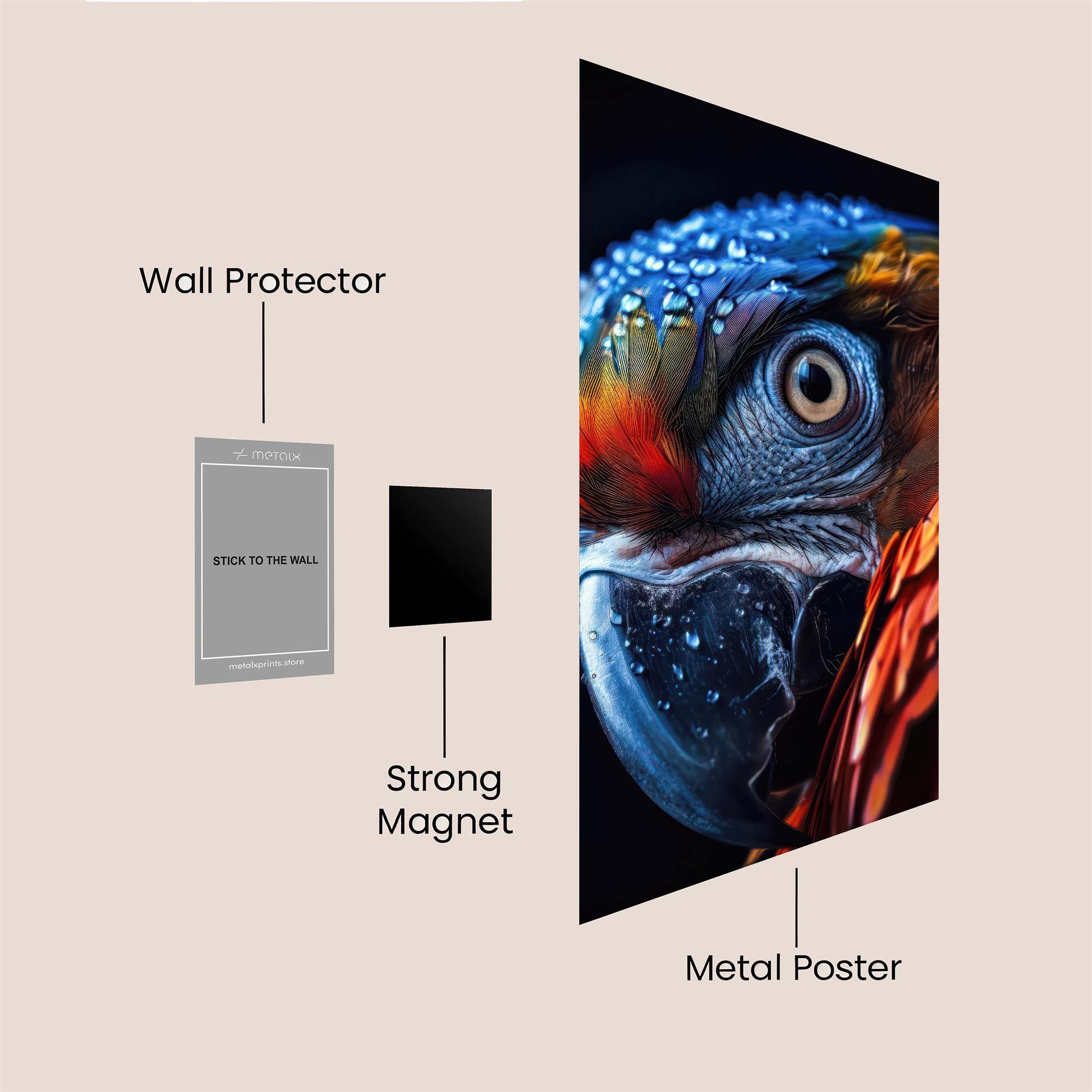 Macaw Radiance Safe Wall Magnetic / M