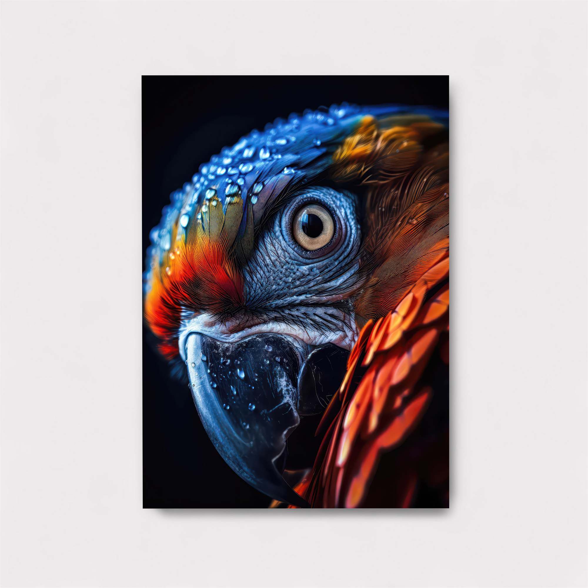 Macaw Radiance Safe Wall Magnetic / M