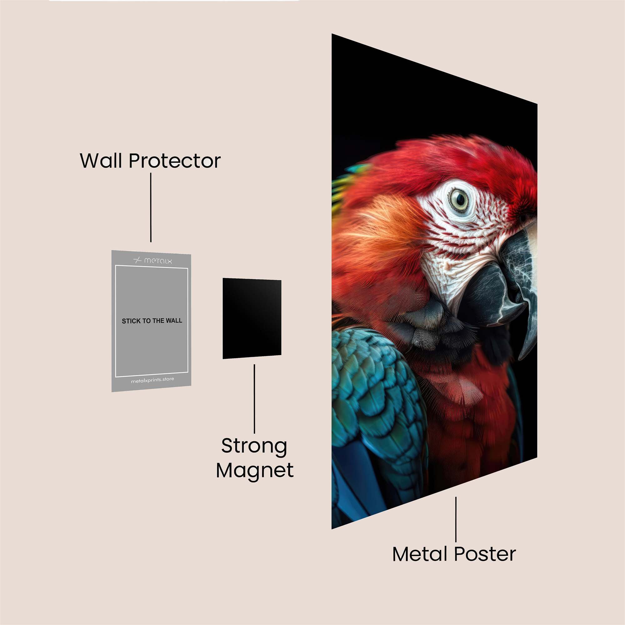 Macaw Majestic Safe Wall Magnetic / M