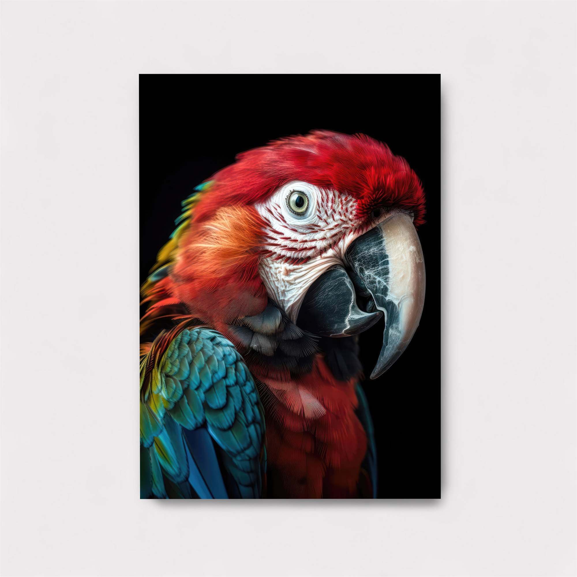 Macaw Majestic Safe Wall Magnetic / M
