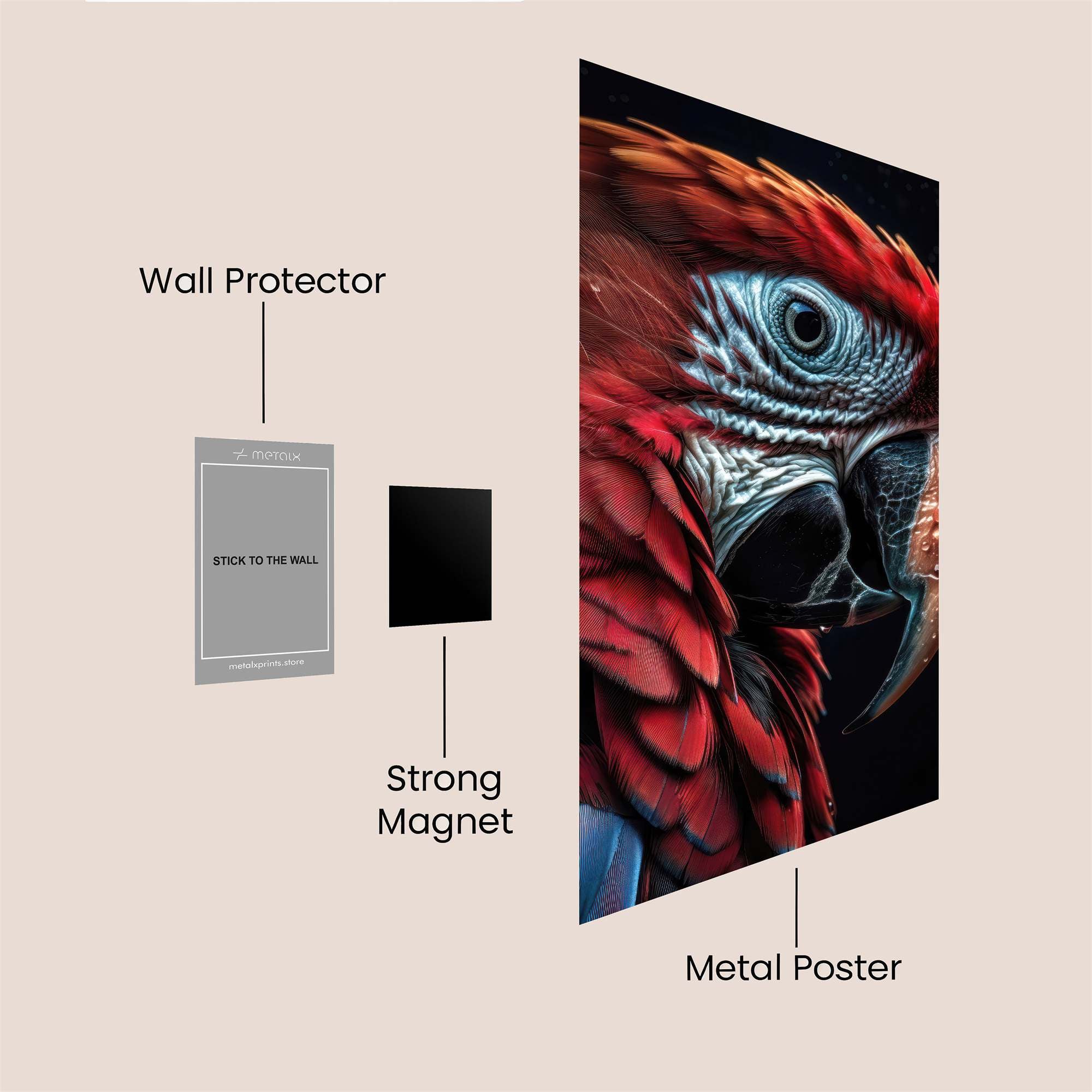 Macaw Majestic Safe Wall Magnetic / M