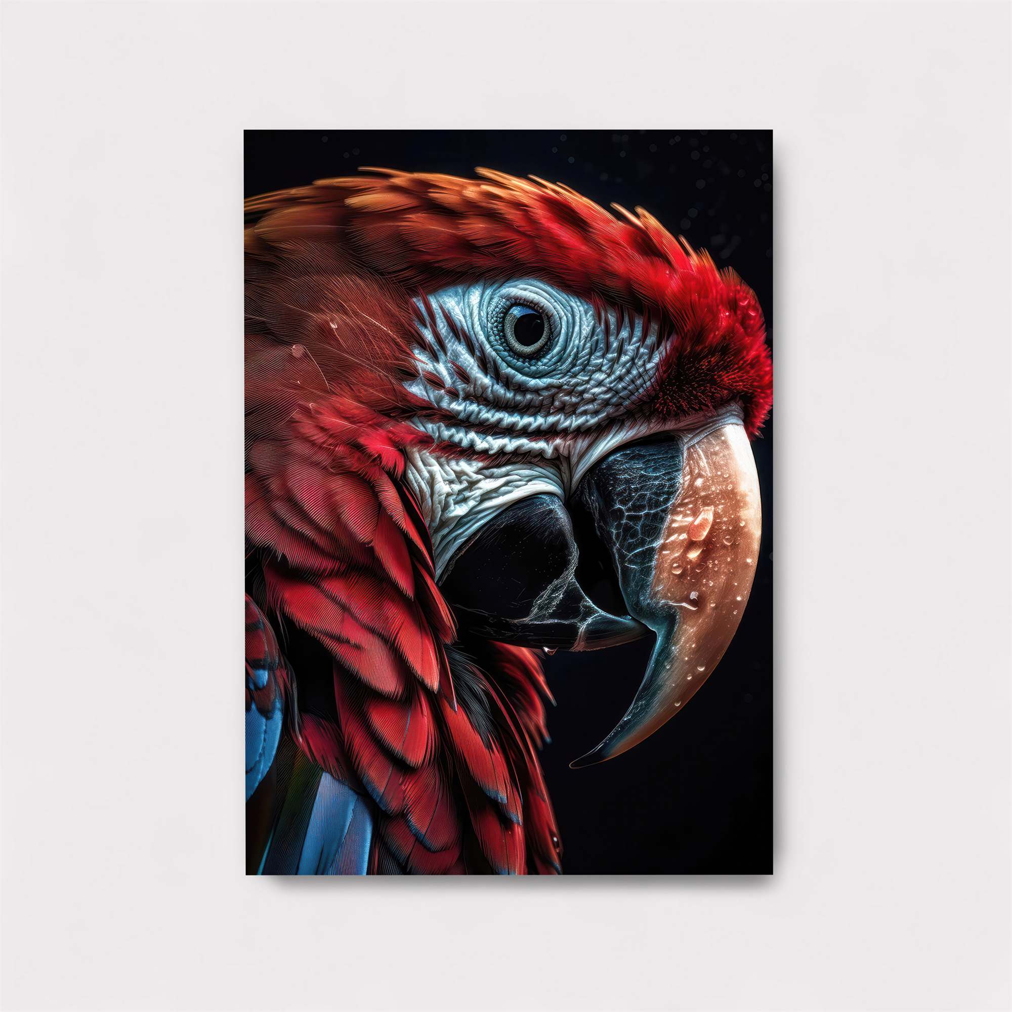 Macaw Majestic Safe Wall Magnetic / M