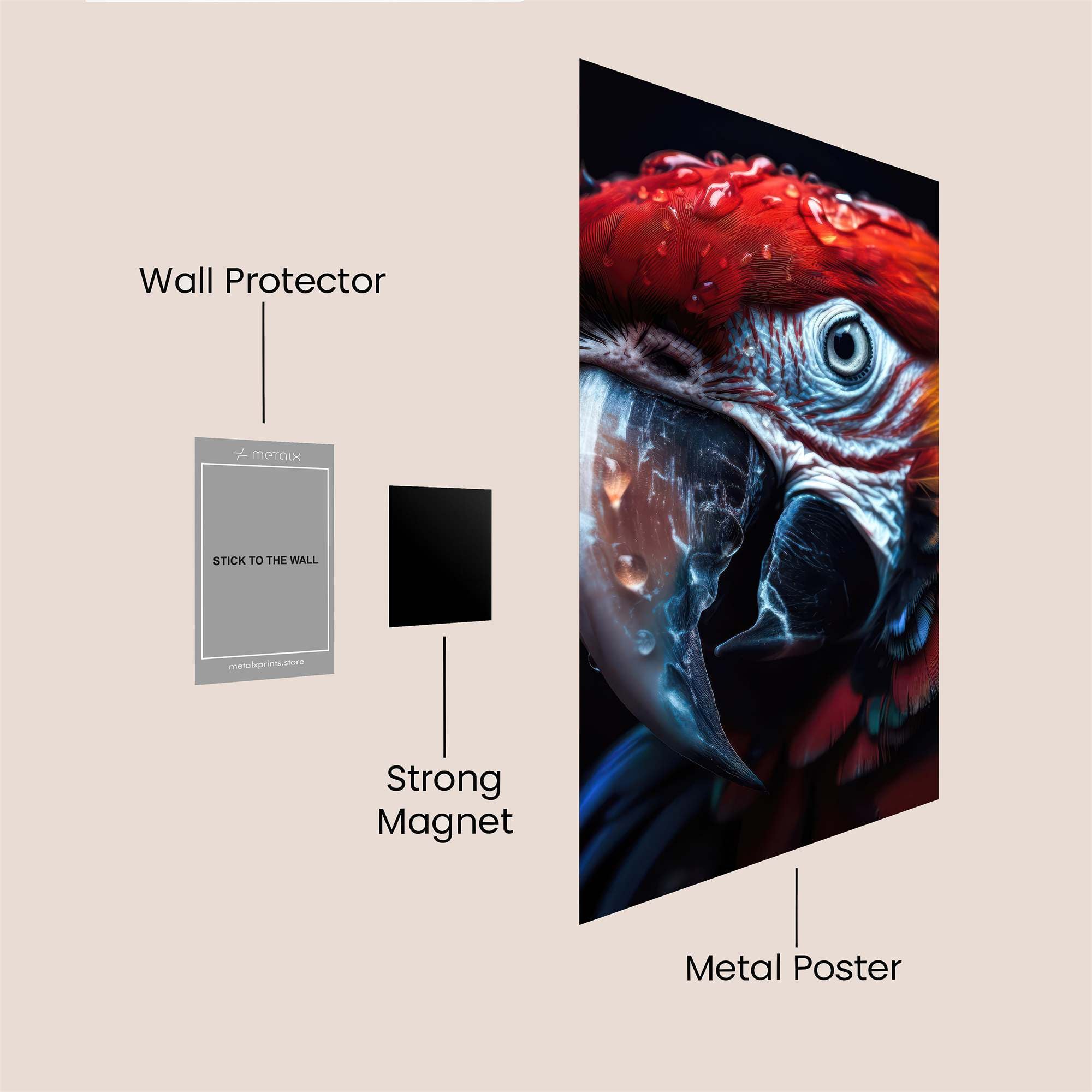 Macaw Majesty Safe Wall Magnetic / M