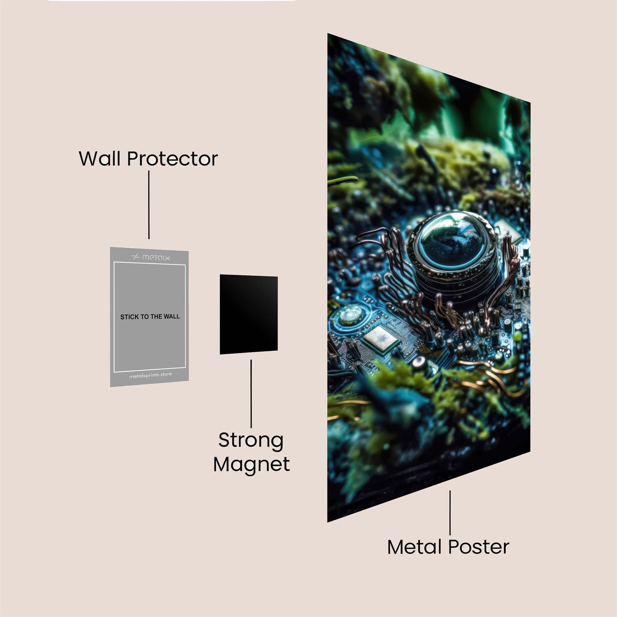 Circuit Rebirth Safe Wall Magnetic / M