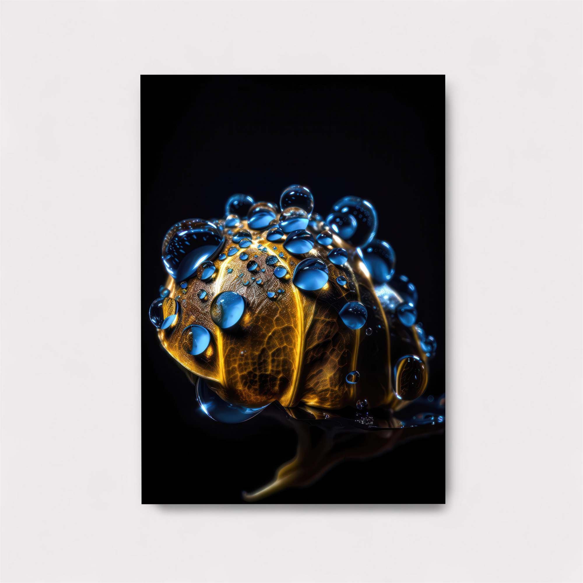 Frog Radiant Safe Wall Magnetic / M