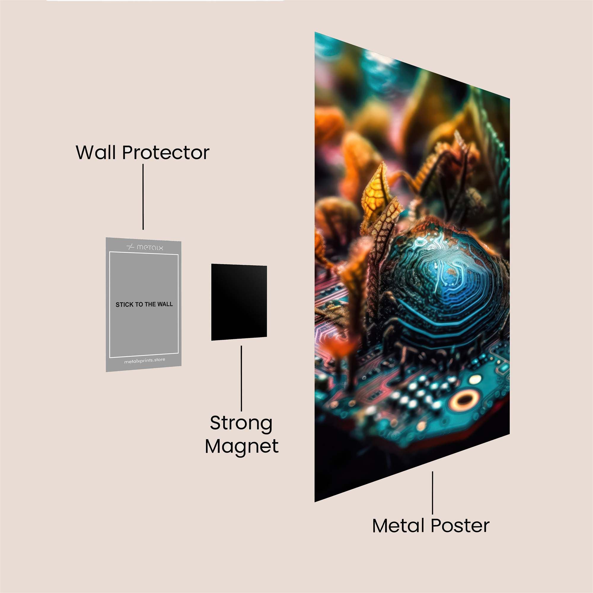 Circuit Dream Safe Wall Magnetic / M
