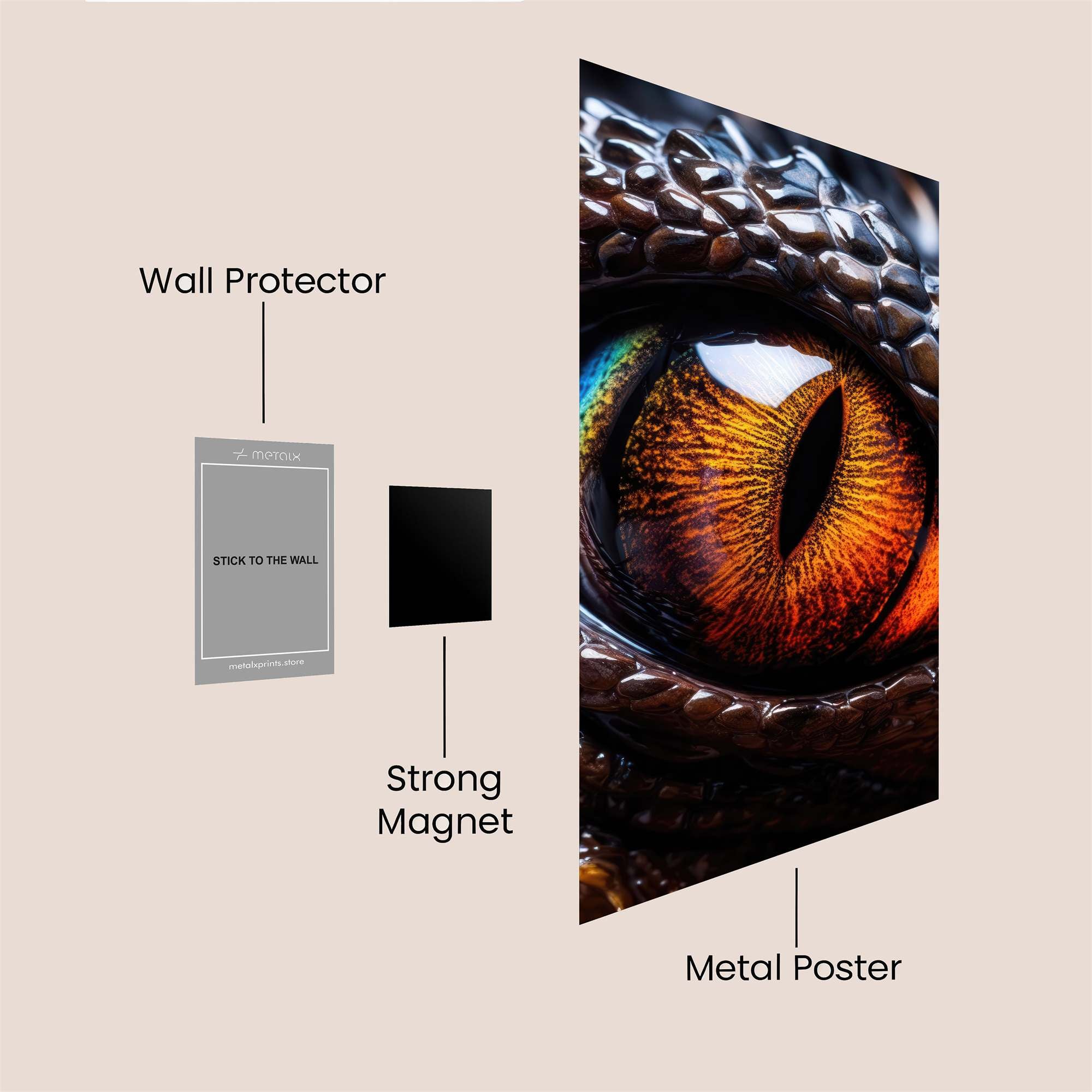 Dragon Hypnotic Safe Wall Magnetic / M