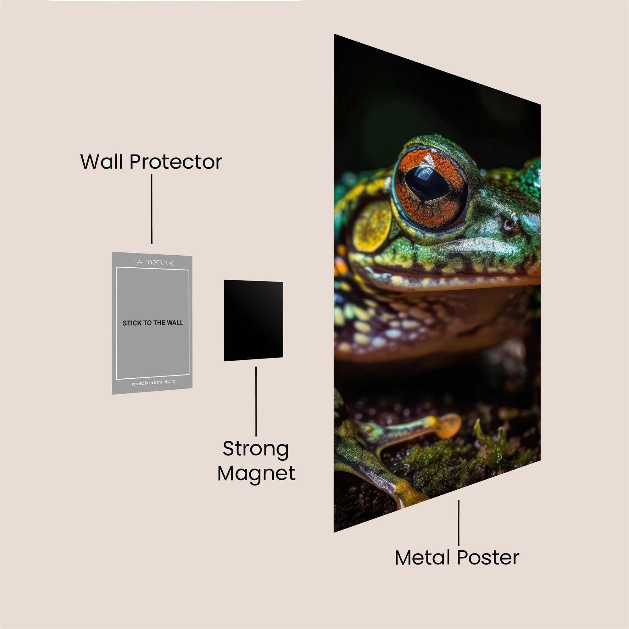 Amazonian Enigma Safe Wall Magnetic / M