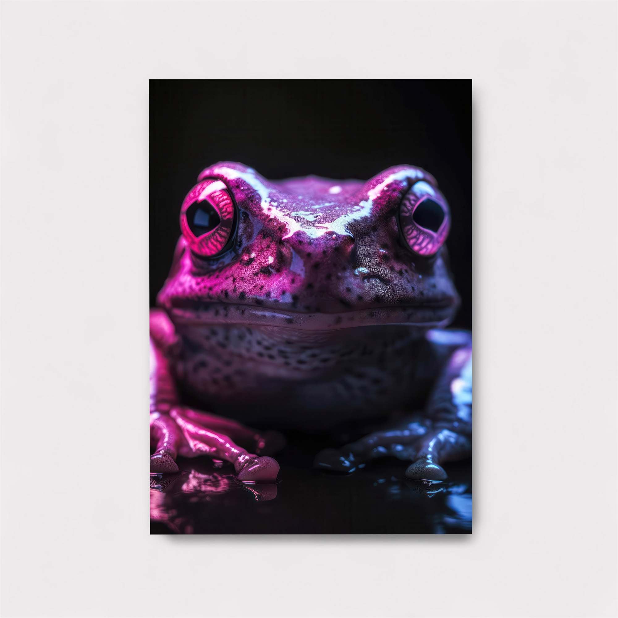 Frog Enigma Safe Wall Magnetic / M