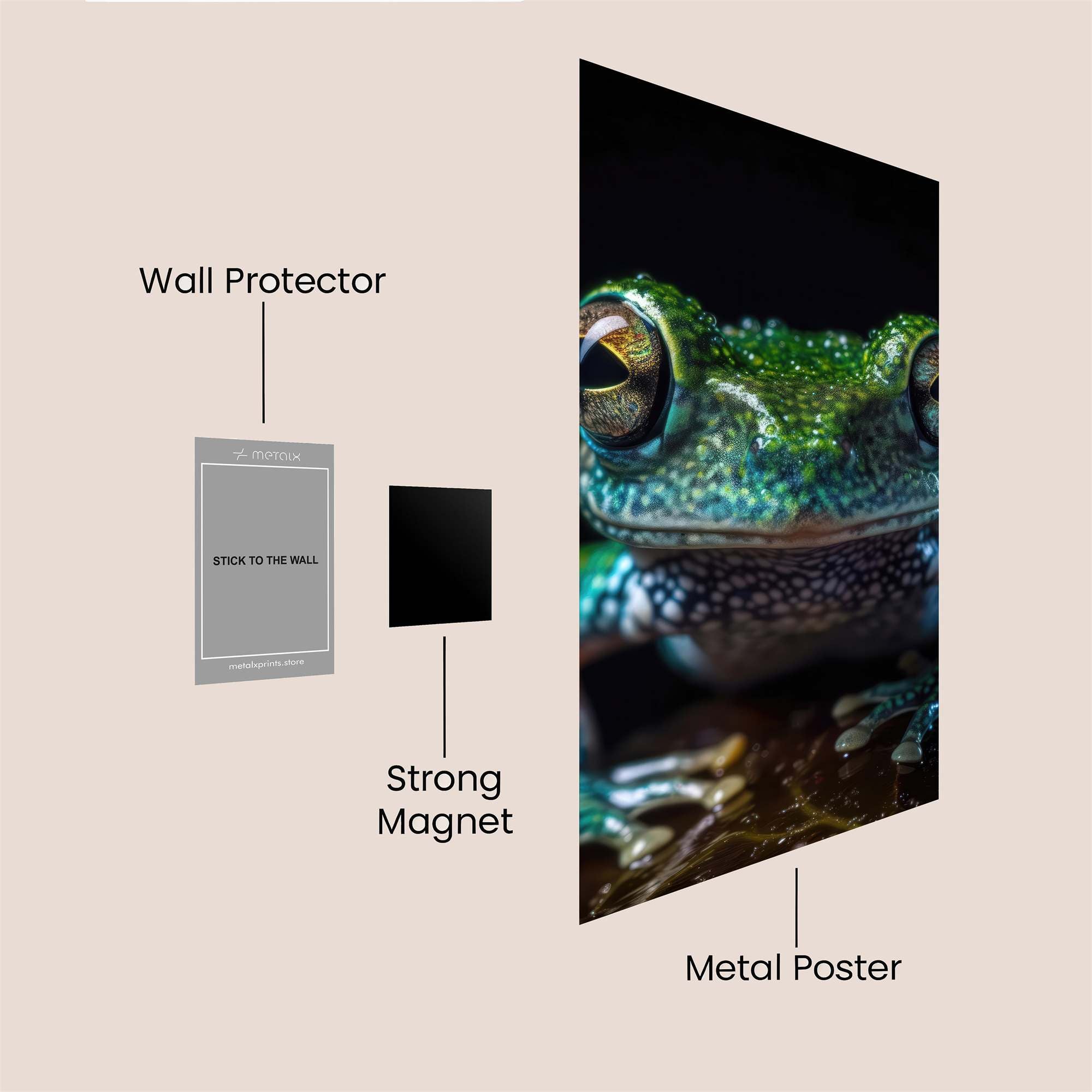 Frog Enigma Safe Wall Magnetic / M