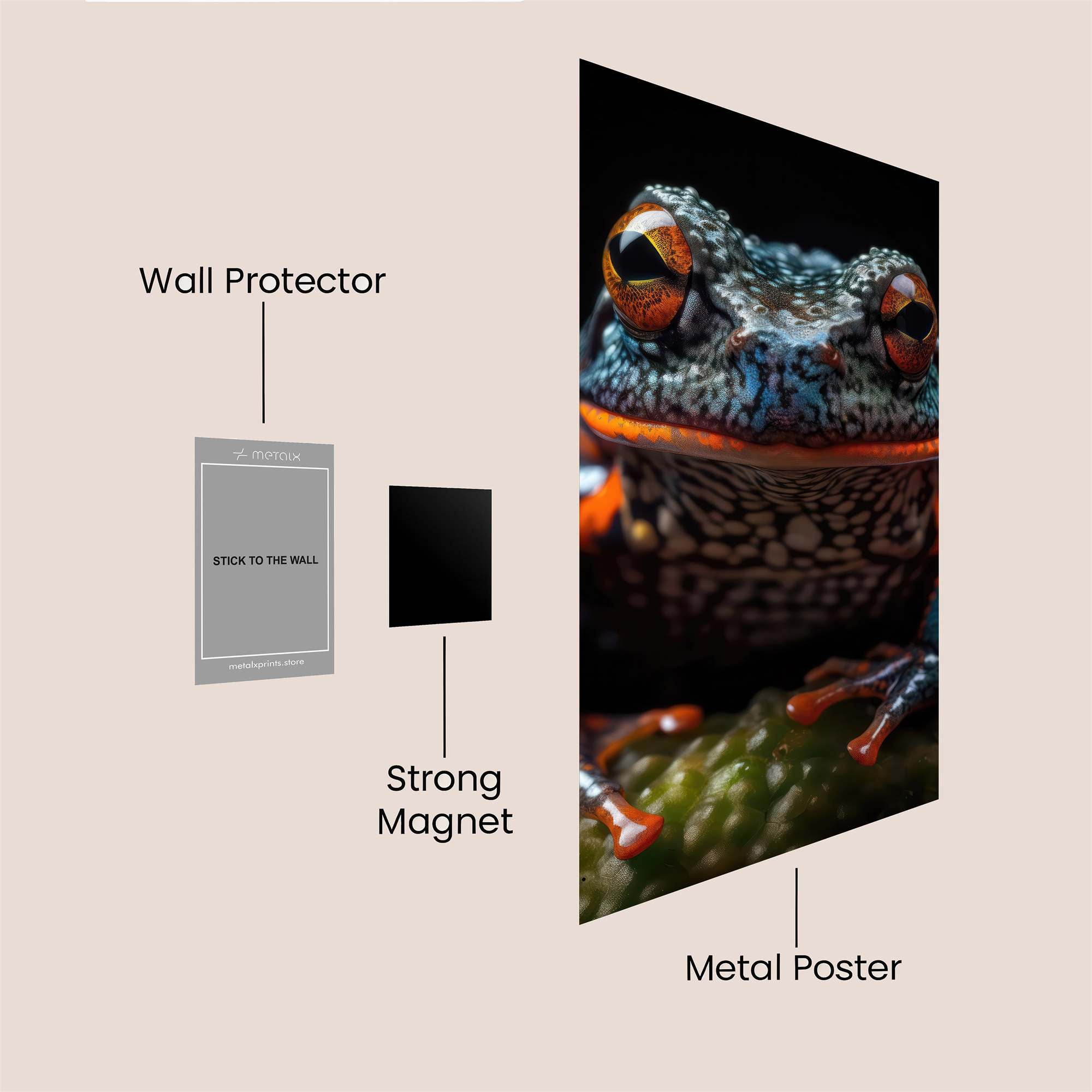 Frog Radiant Safe Wall Magnetic / M