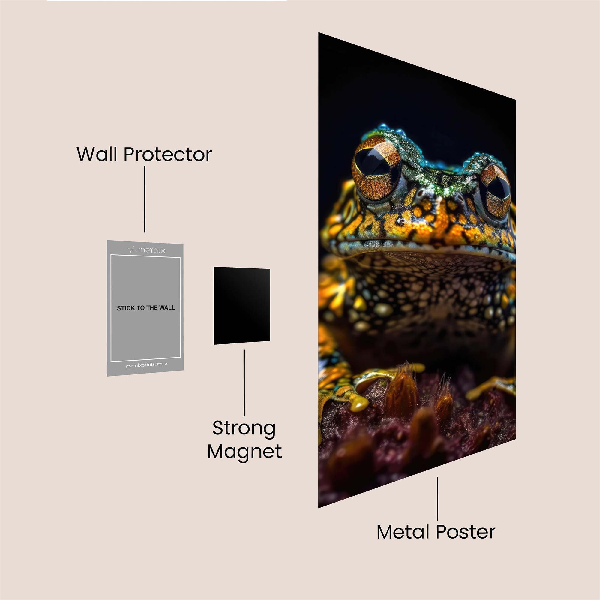 Frog Marvelous Safe Wall Magnetic / M