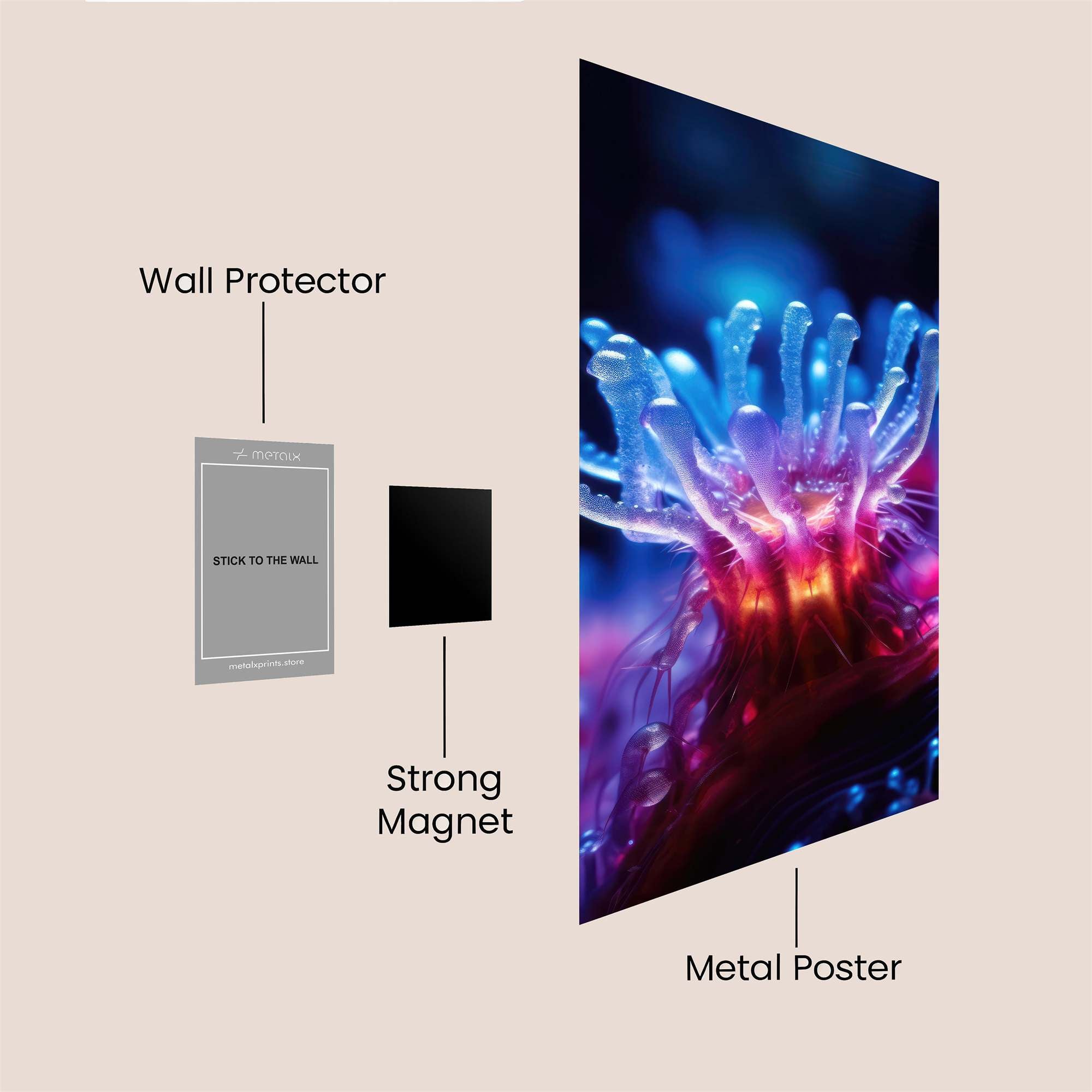 Coral Glow Safe Wall Magnetic / M