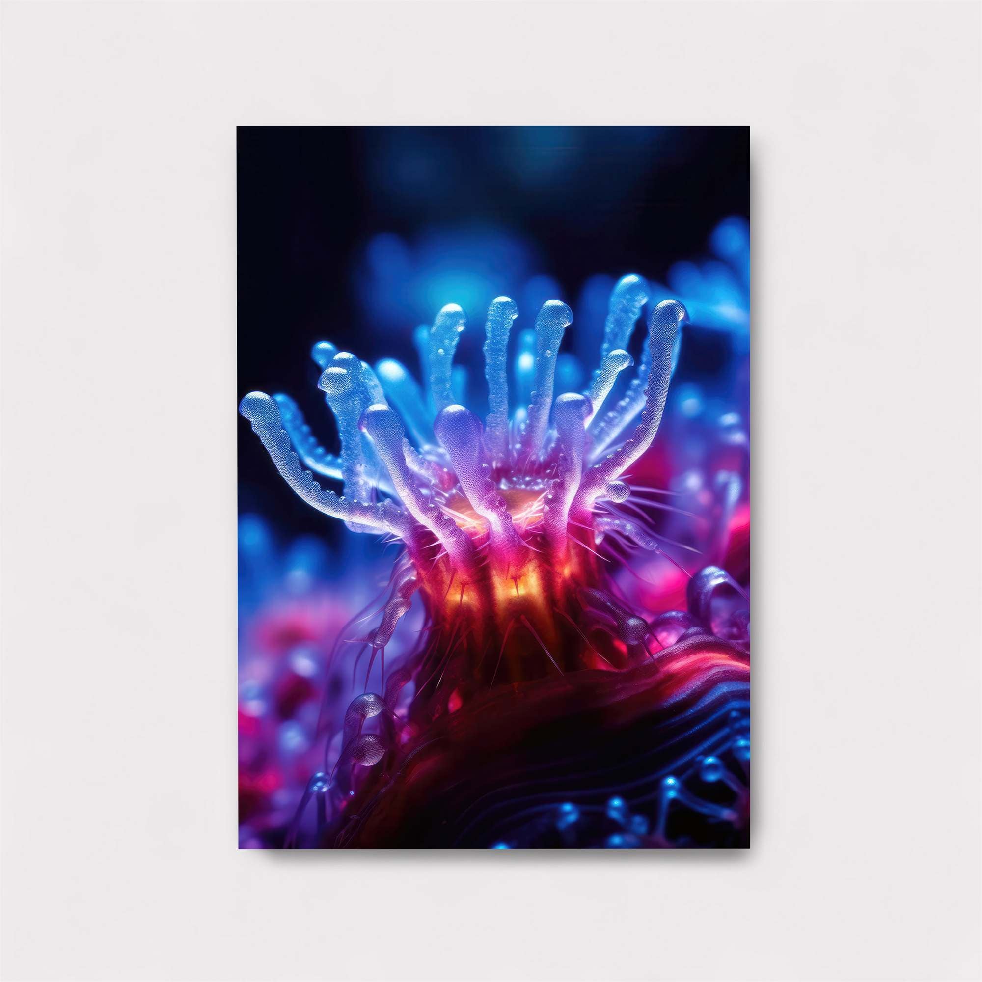 Coral Glow Safe Wall Magnetic / M
