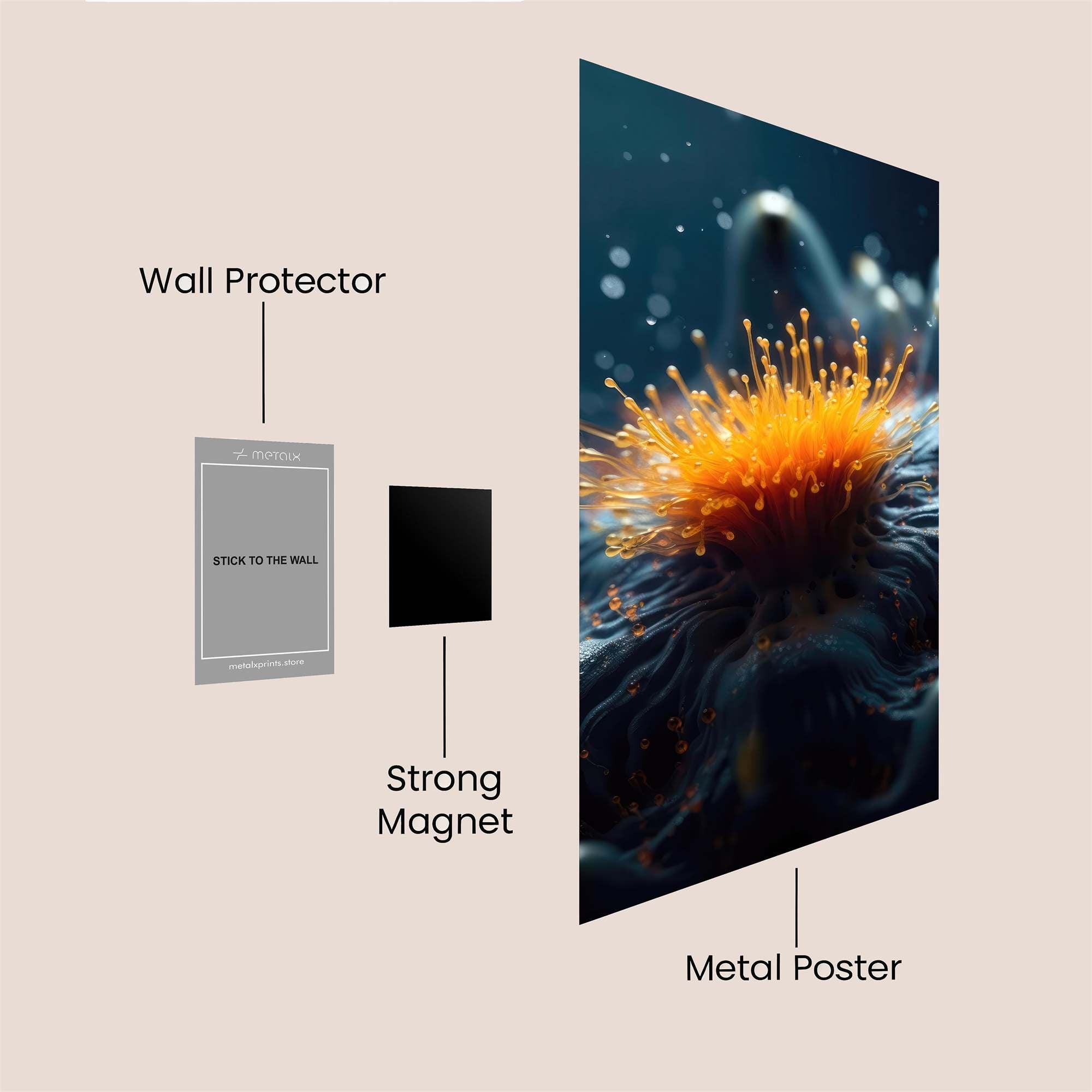 SeaBloom Radiant Safe Wall Magnetic / M