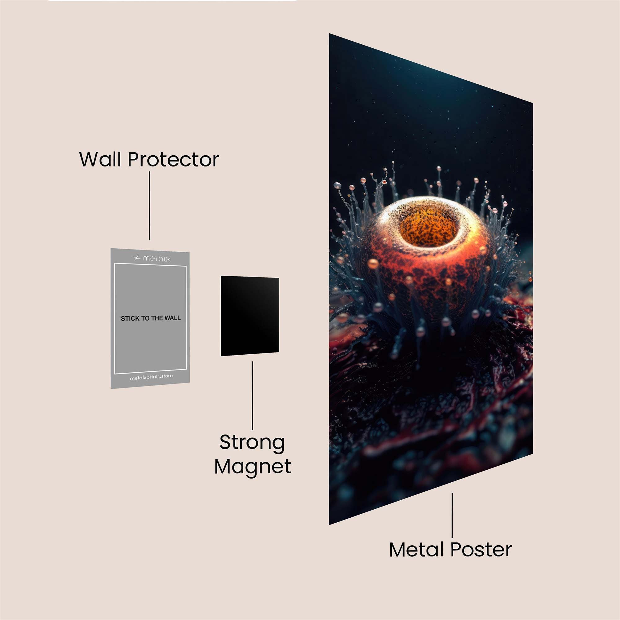 Cosmic Bloom Safe Wall Magnetic / M