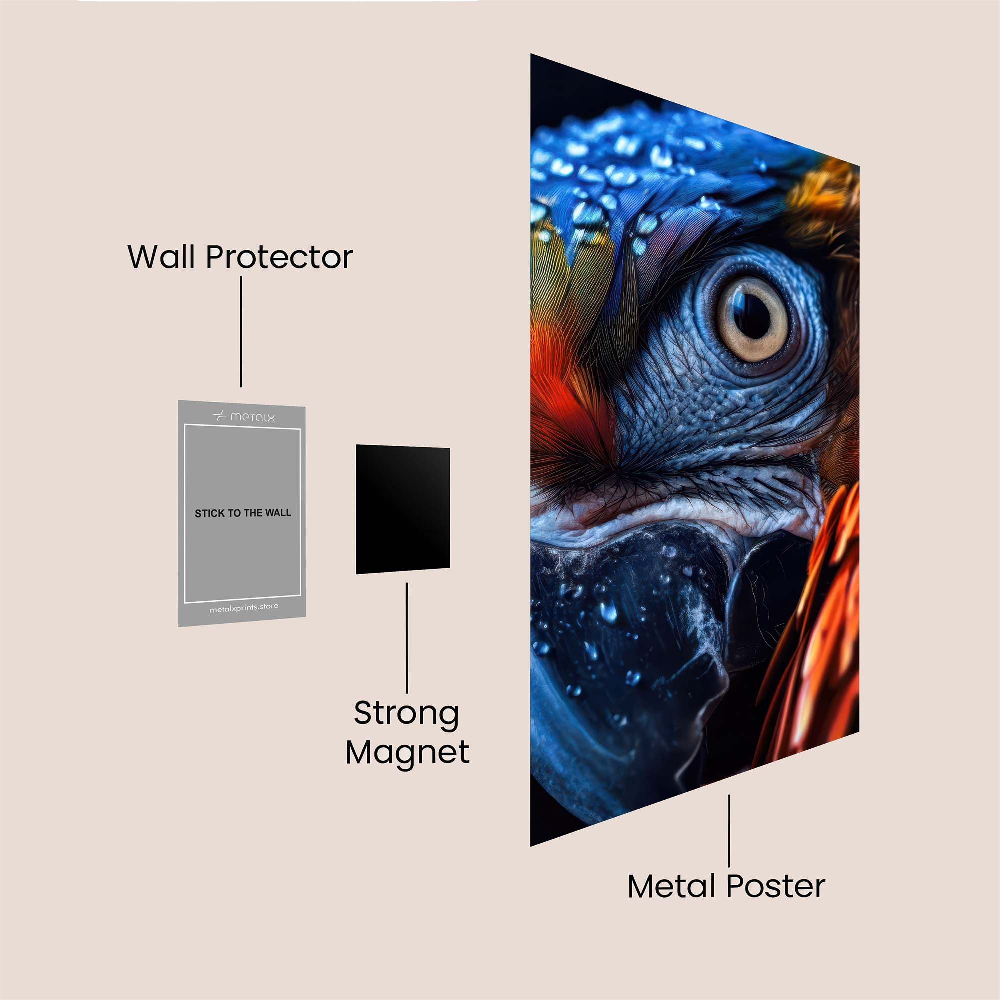 Macaw Majestic Safe Wall Magnetic / M