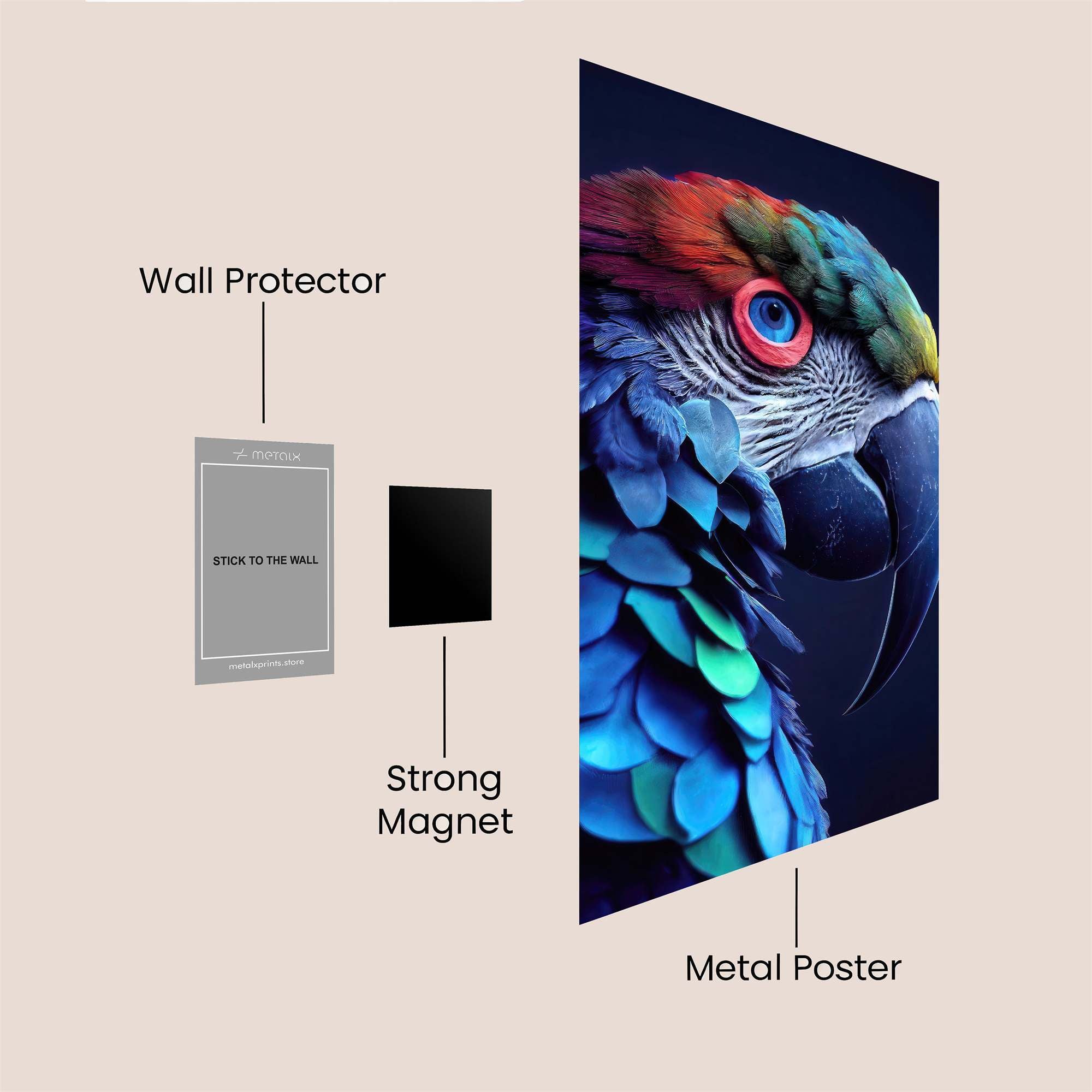 Macaw Majesty Safe Wall Magnetic / M
