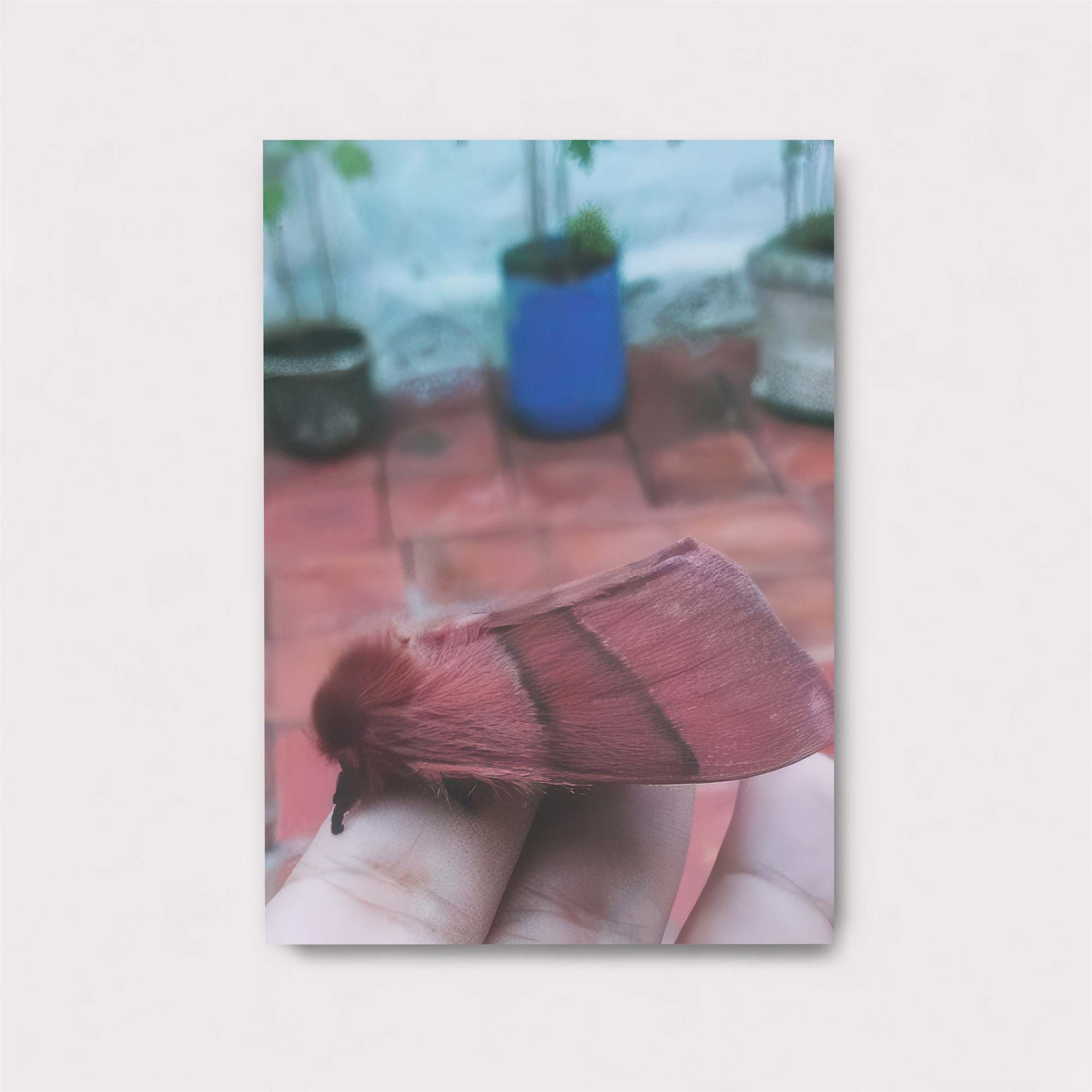 Moth Serenity Safe Wall Magnetic / M