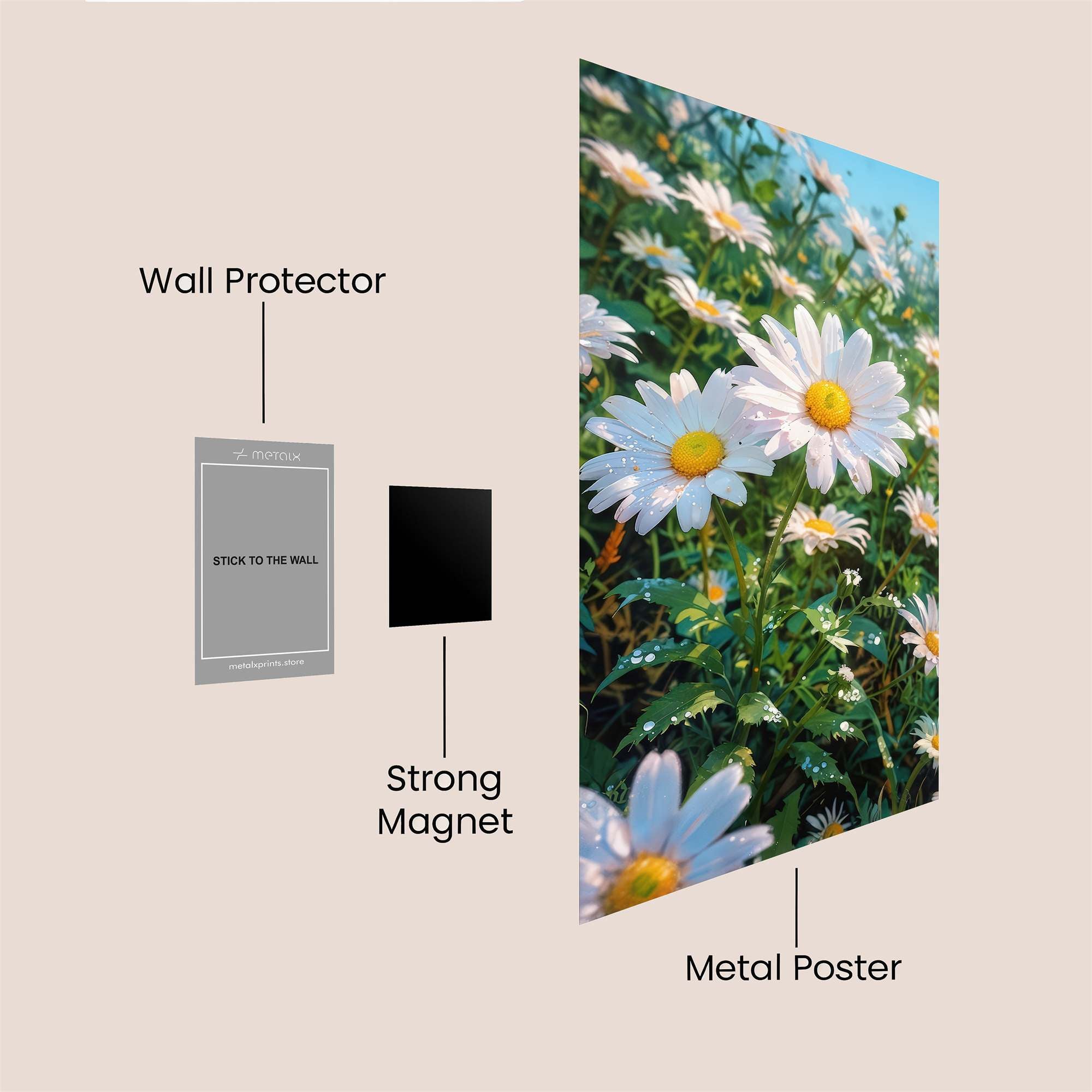 Daisy Delight Safe Wall Magnetic / M