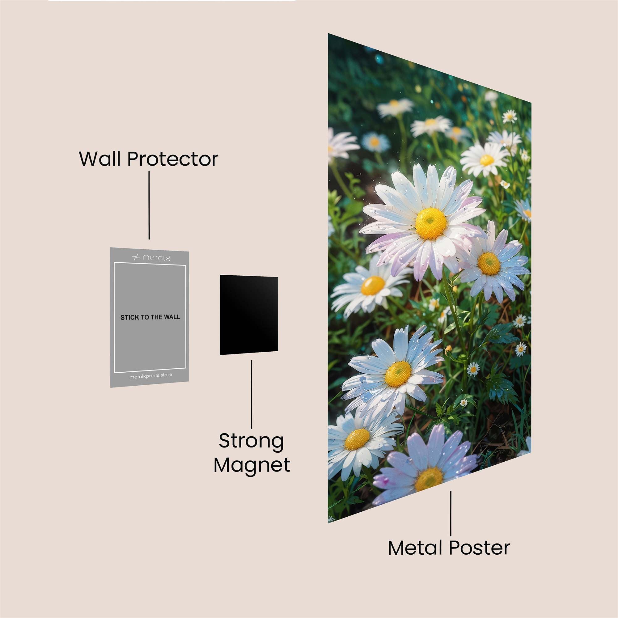 Daisy Delight Safe Wall Magnetic / M