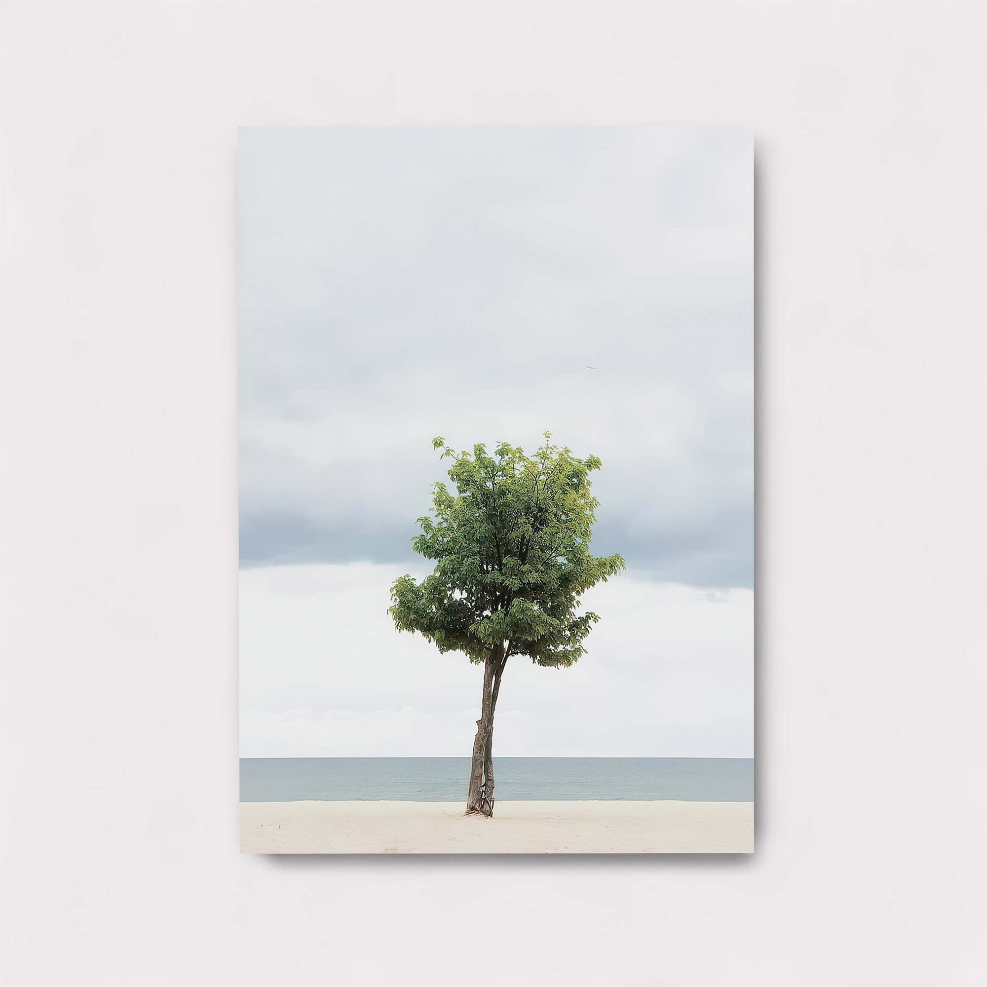 Lone Tranquil Safe Wall Magnetic / M