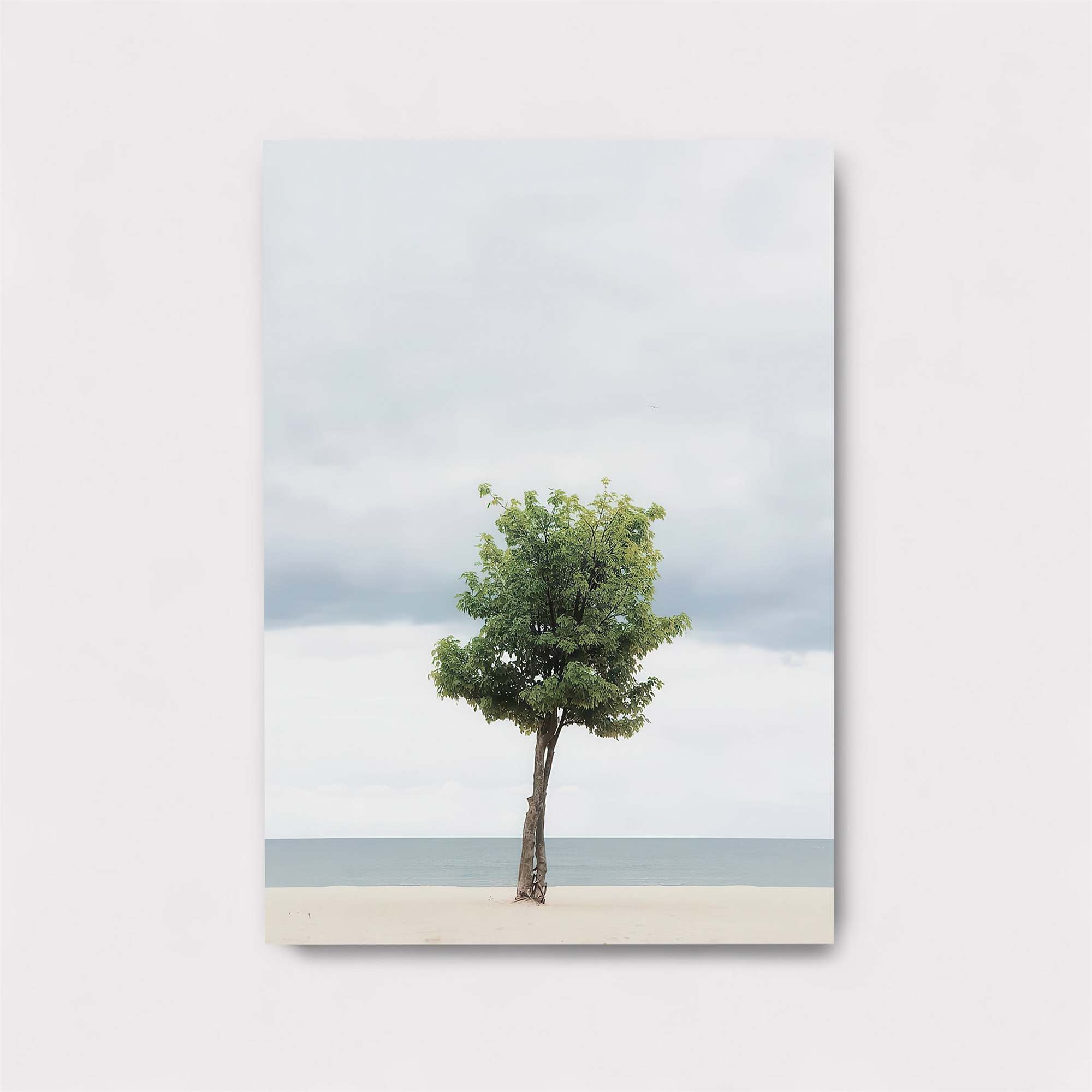 Urban Whimsy Safe Wall Magnetic / M