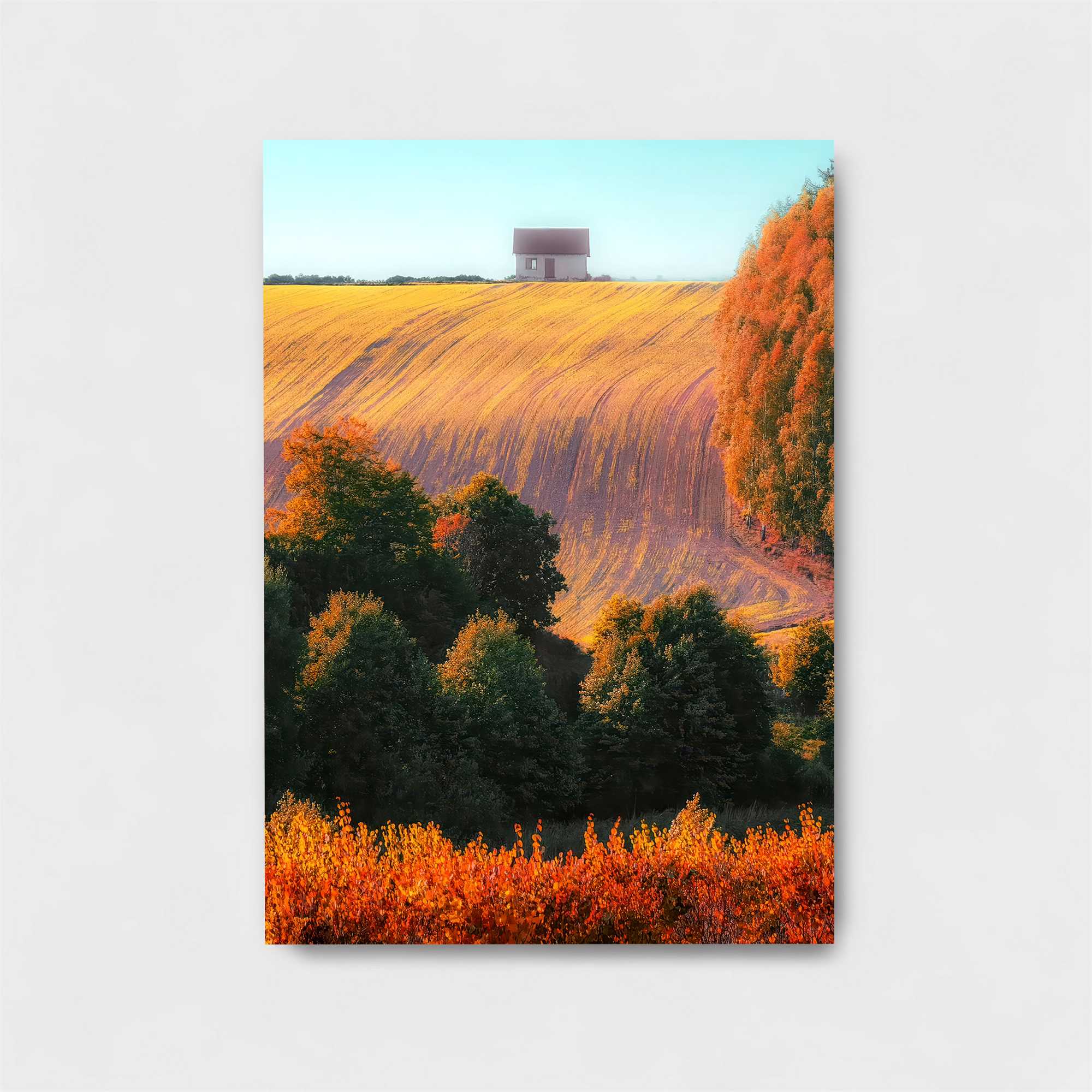 Harvest Serenity Safe Wall Magnetic / M