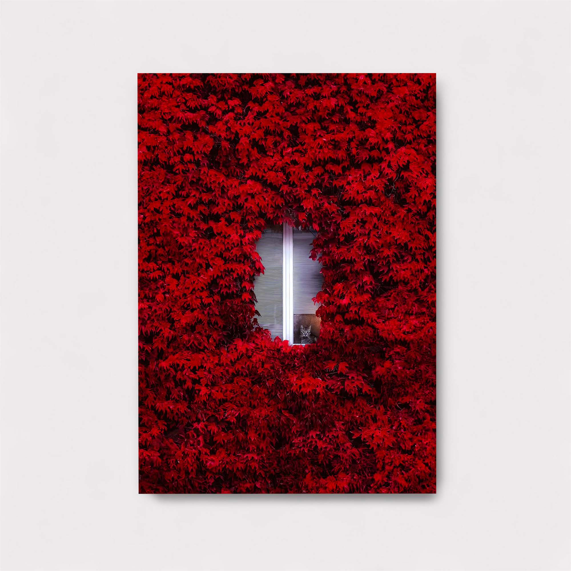 Window Whimsy Safe Wall Magnetic / M