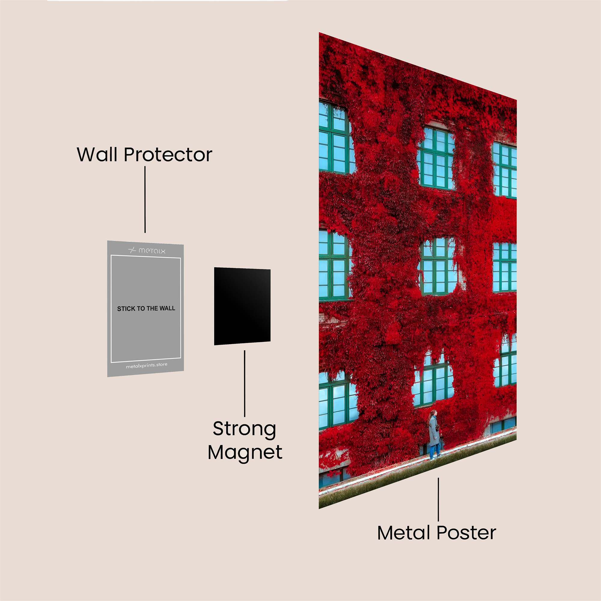 Ivy Elegance Safe Wall Magnetic / M