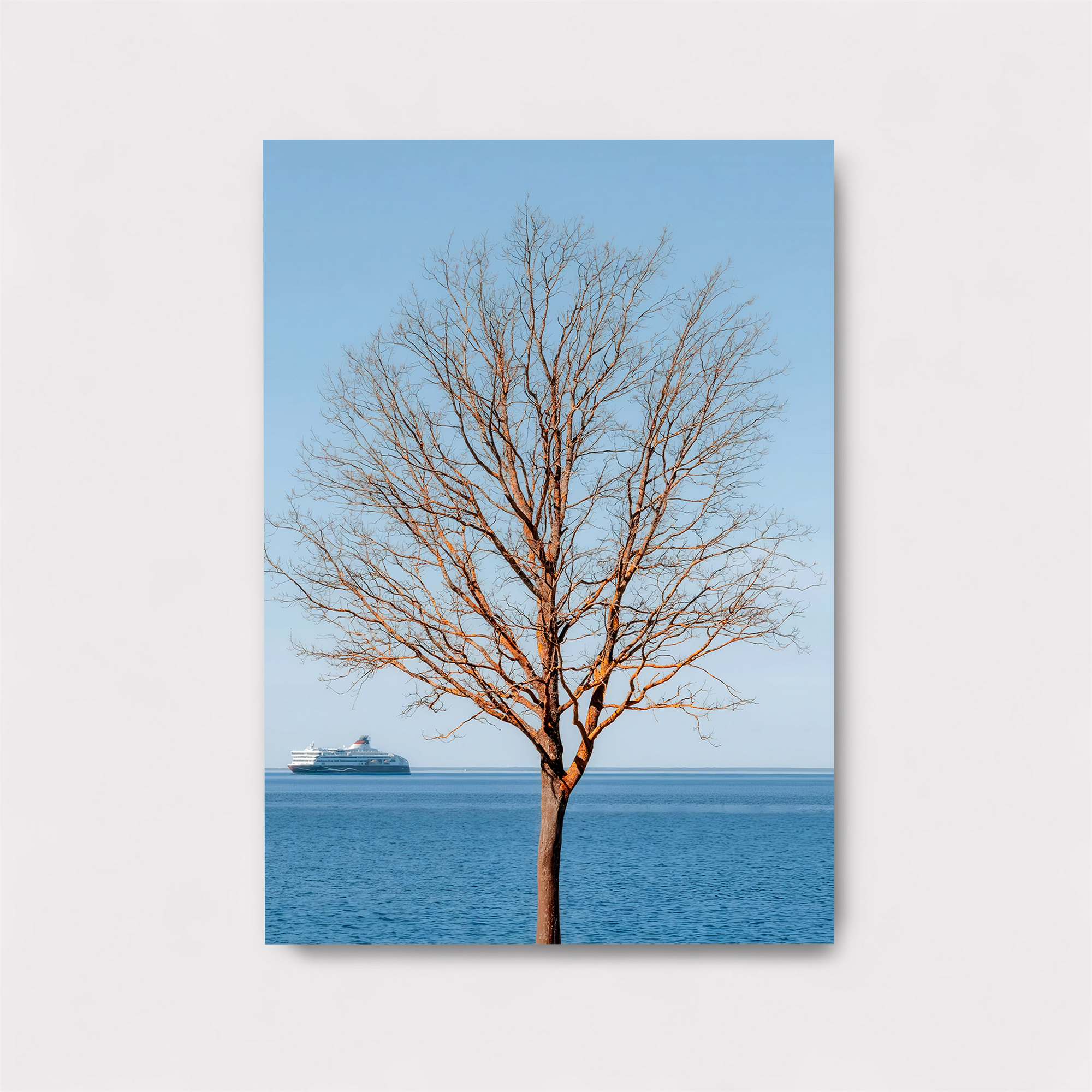 Tree Solitude Safe Wall Magnetic / M
