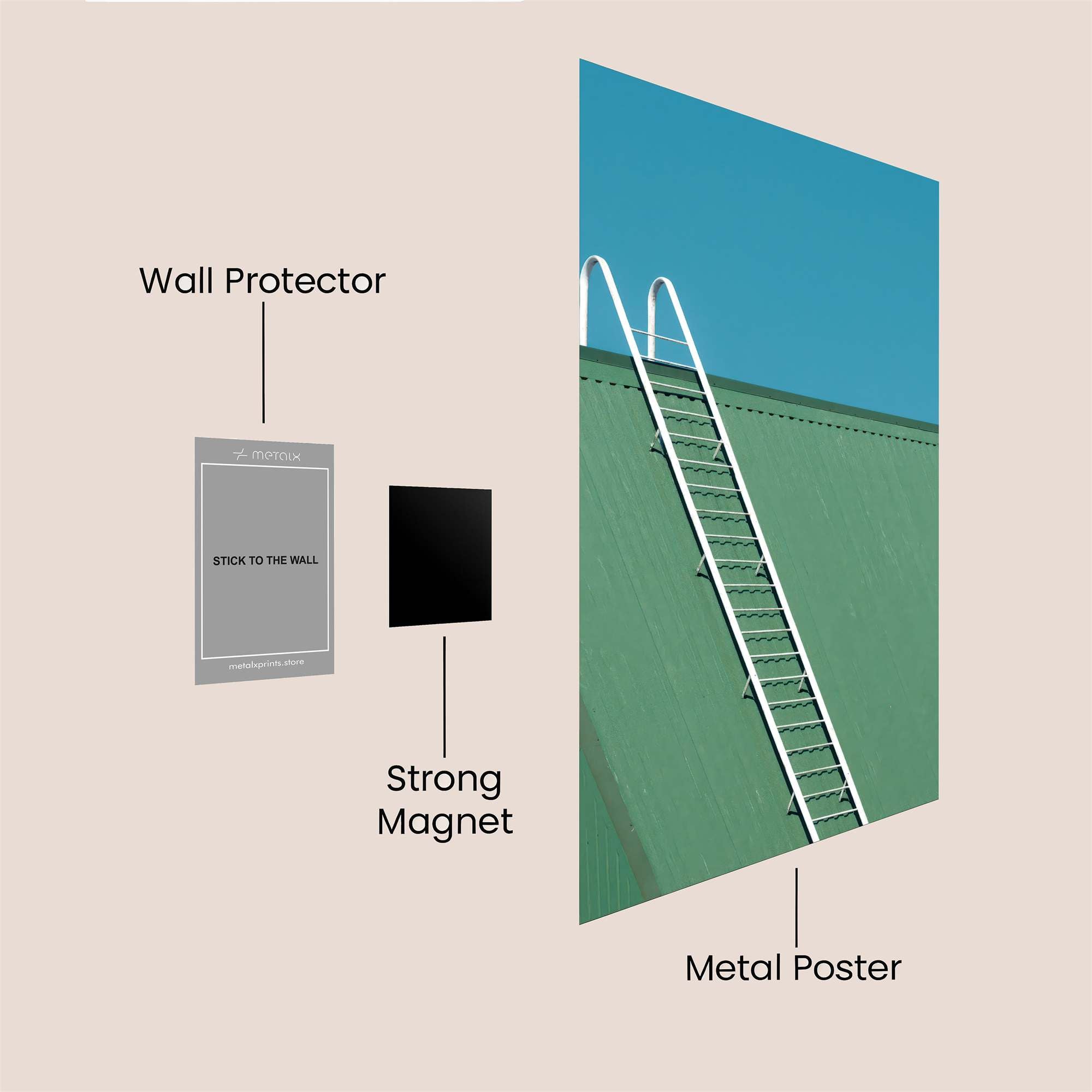 Ladder Ascent Safe Wall Magnetic / M