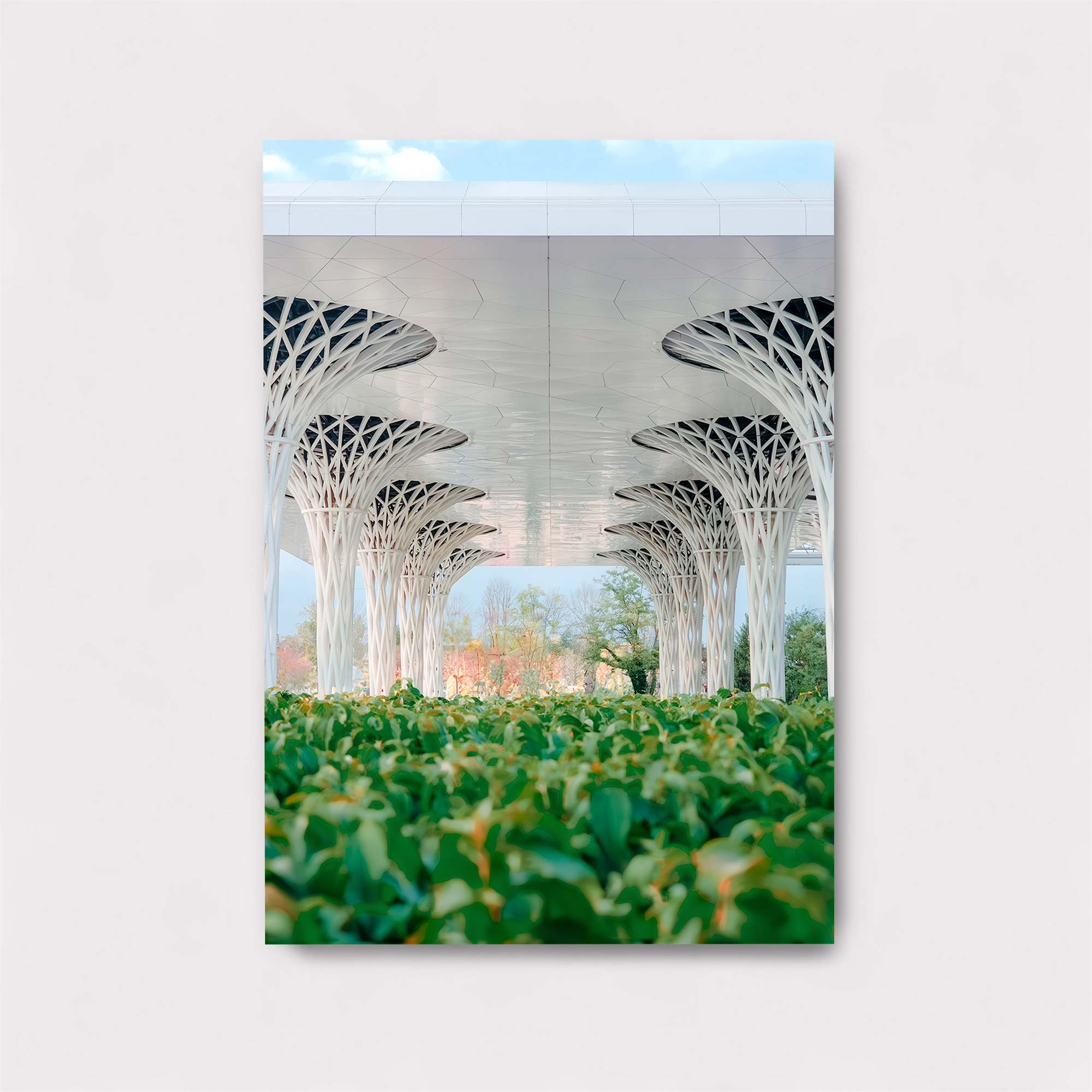 Arboreal Serenity Safe Wall Magnetic / M