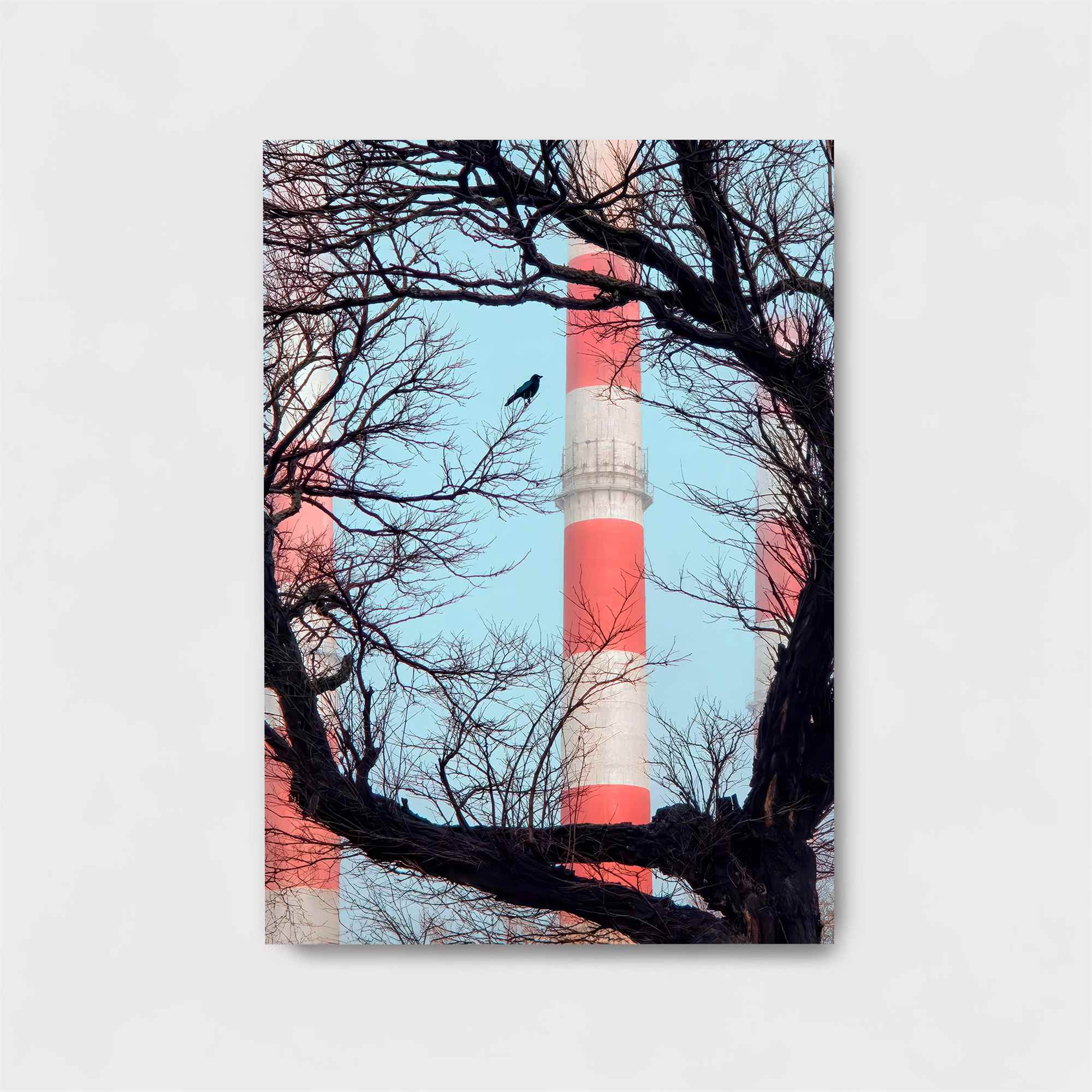 Raven Serenity Safe Wall Magnetic / M