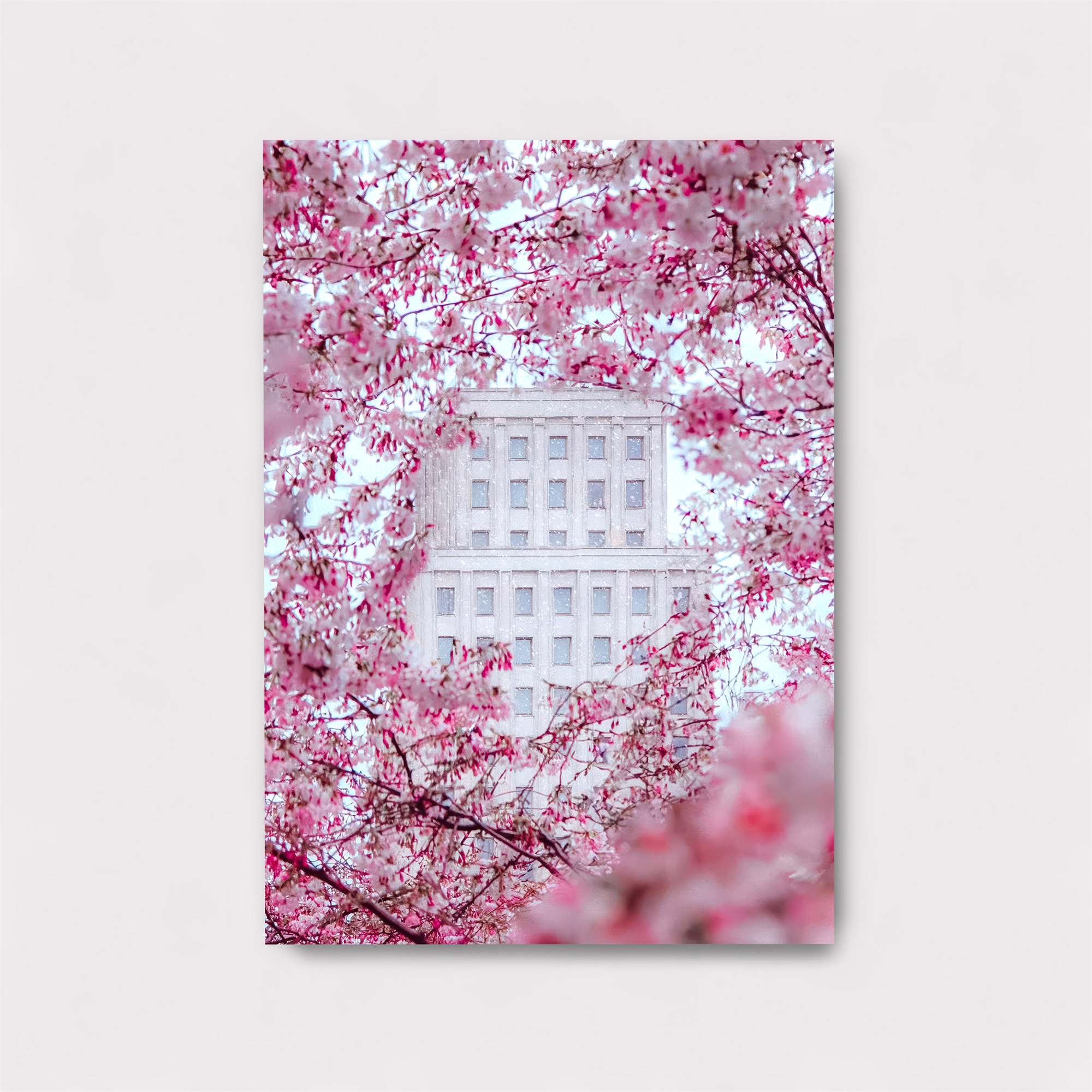 Building Serenity Safe Wall Magnetic / M