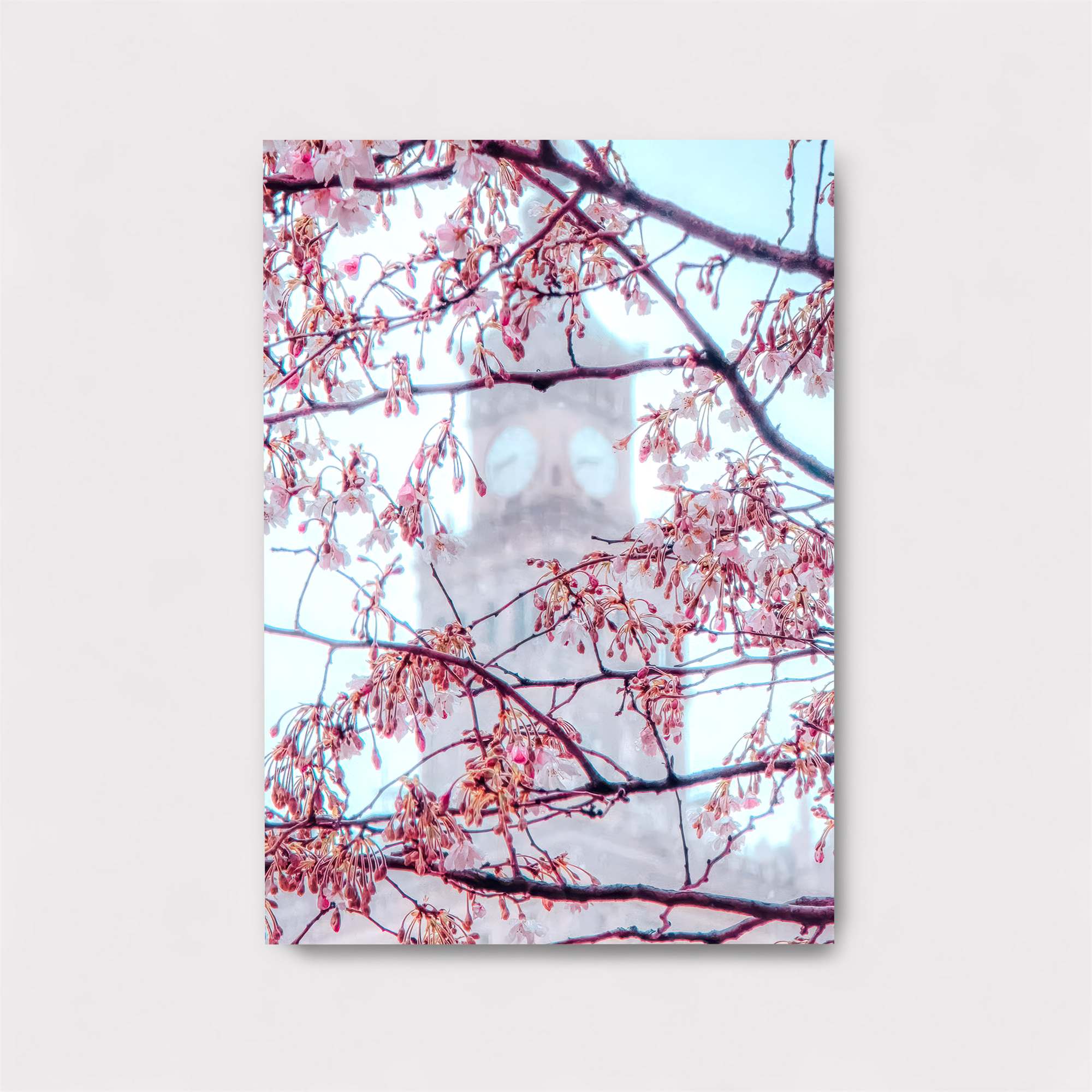 Sakura Serenity Safe Wall Magnetic / M