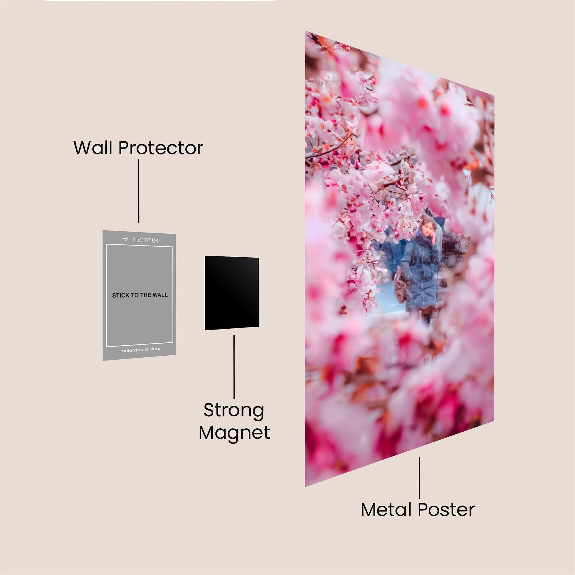 Bird Freedom Safe Wall Magnetic / M
