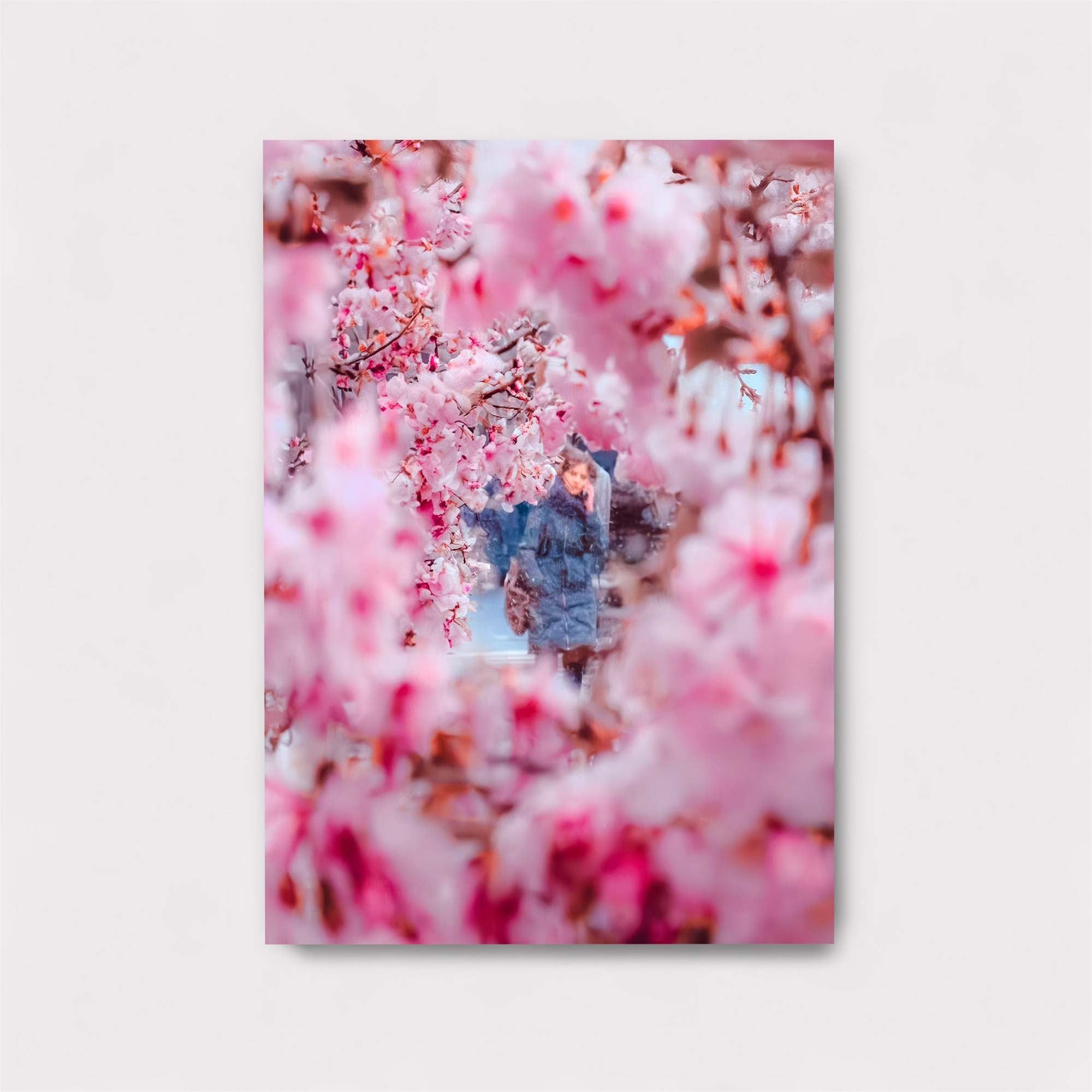 Bird Freedom Safe Wall Magnetic / M