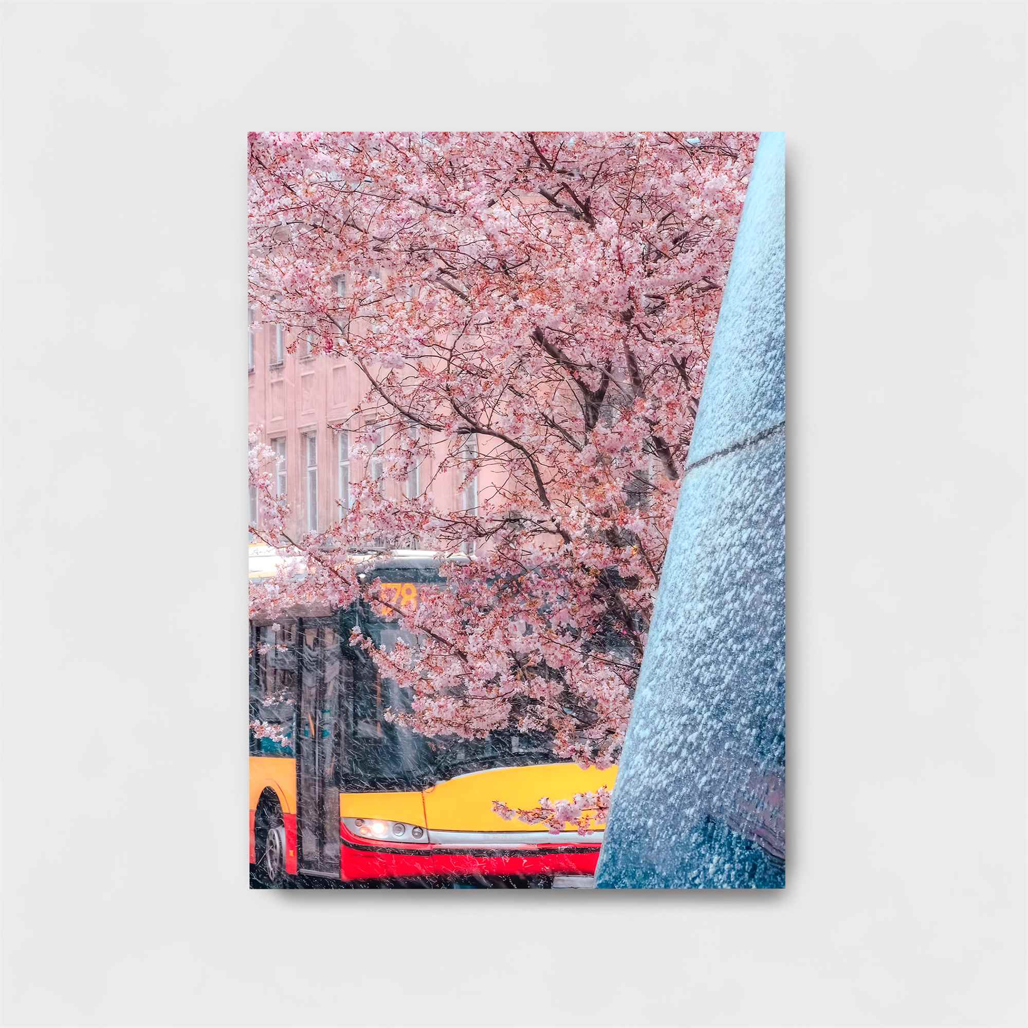 Blossom Serenity Safe Wall Magnetic / M