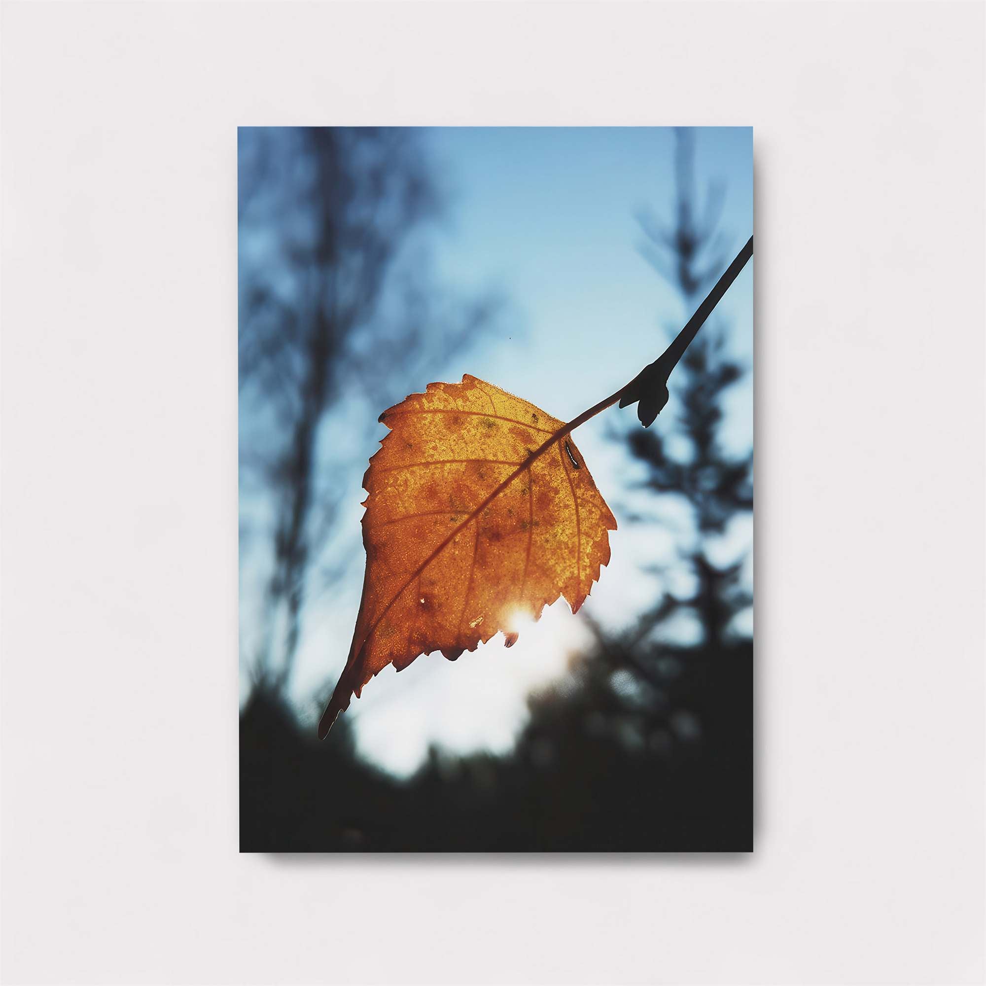 Autumn Serenity Safe Wall Magnetic / M