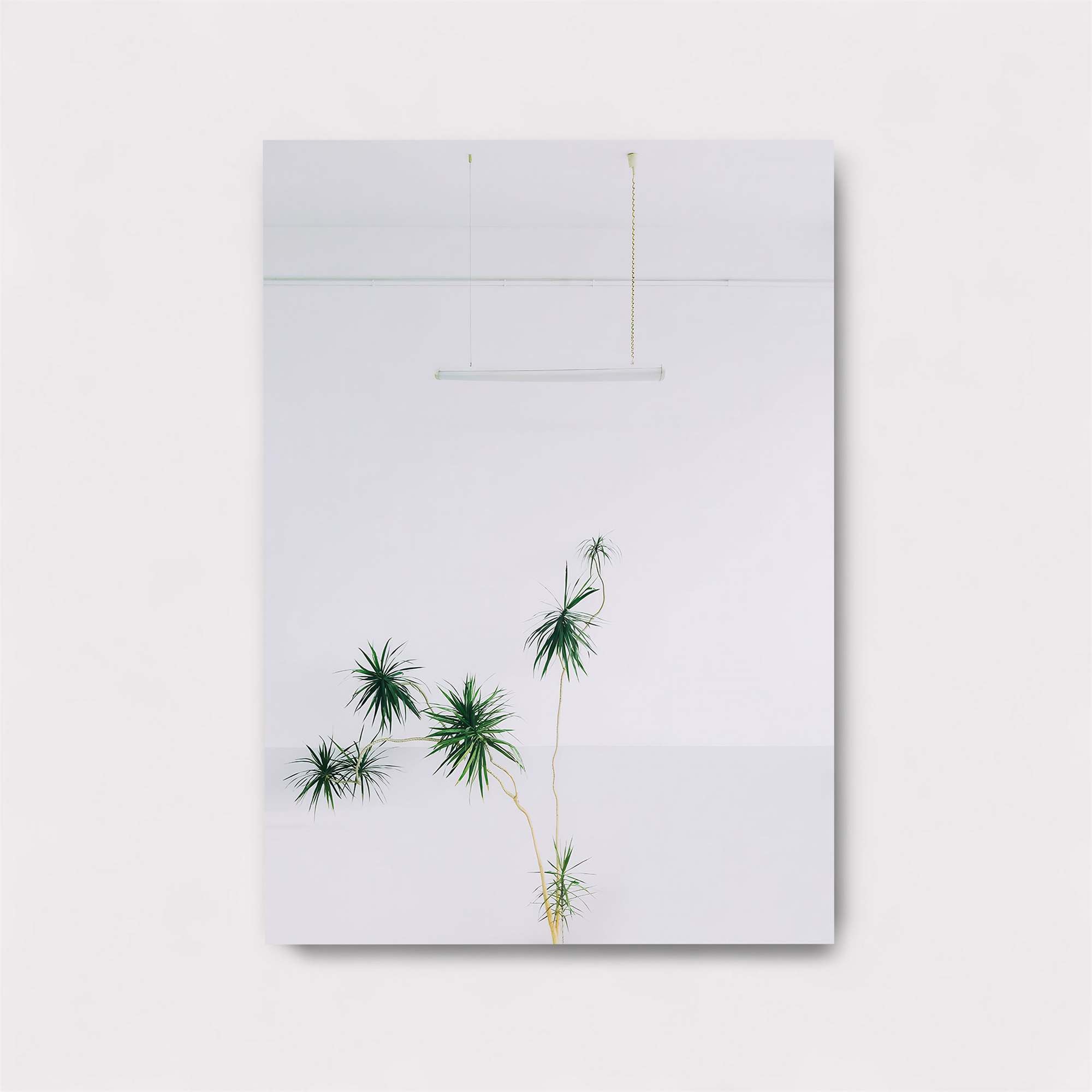 Palm Serenity Safe Wall Magnetic / M