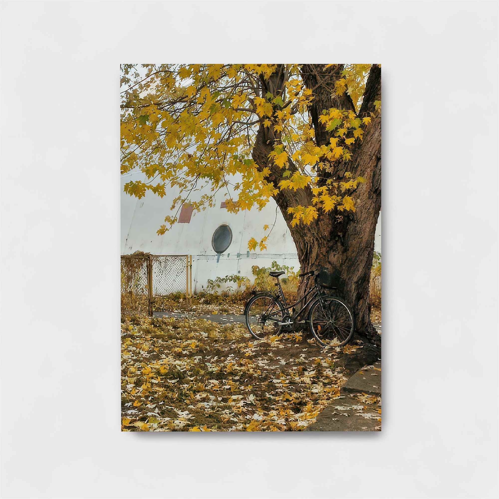 Autumnal Solitude Safe Wall Magnetic / M