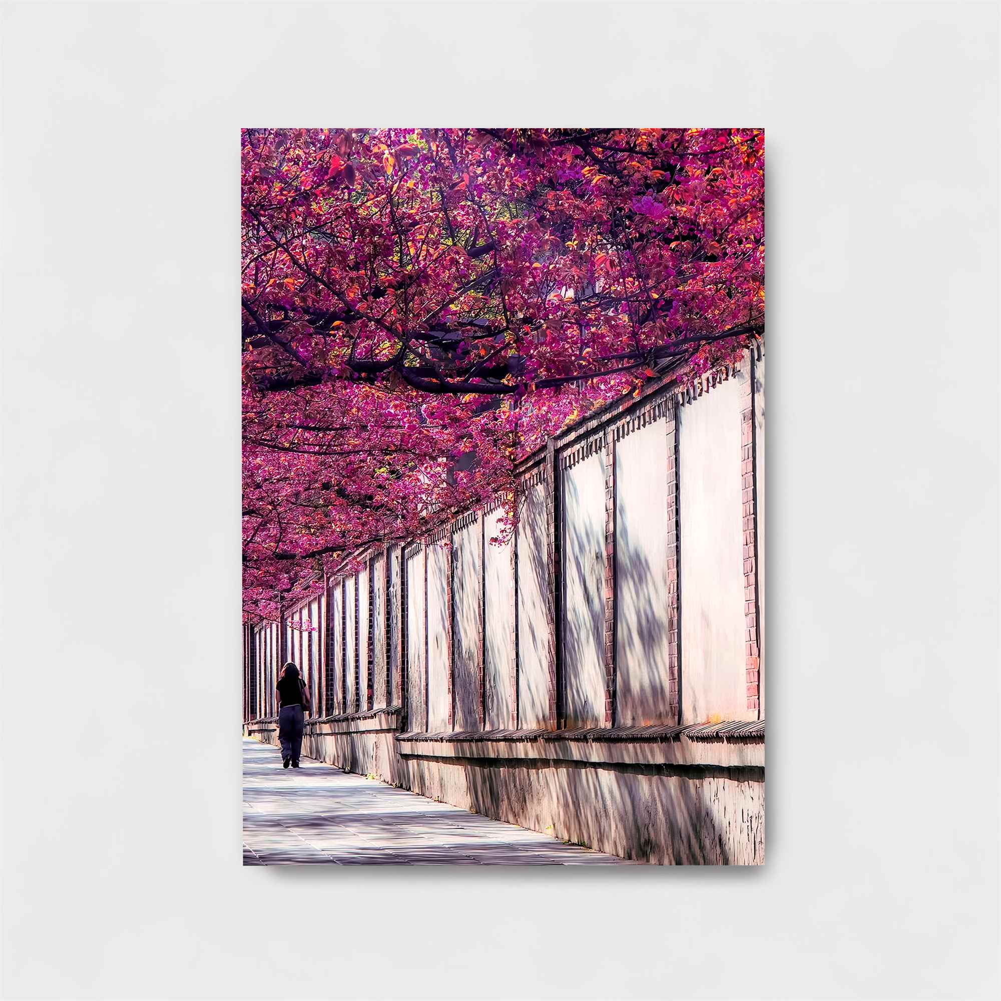 Cherry Serenity Safe Wall Magnetic / M