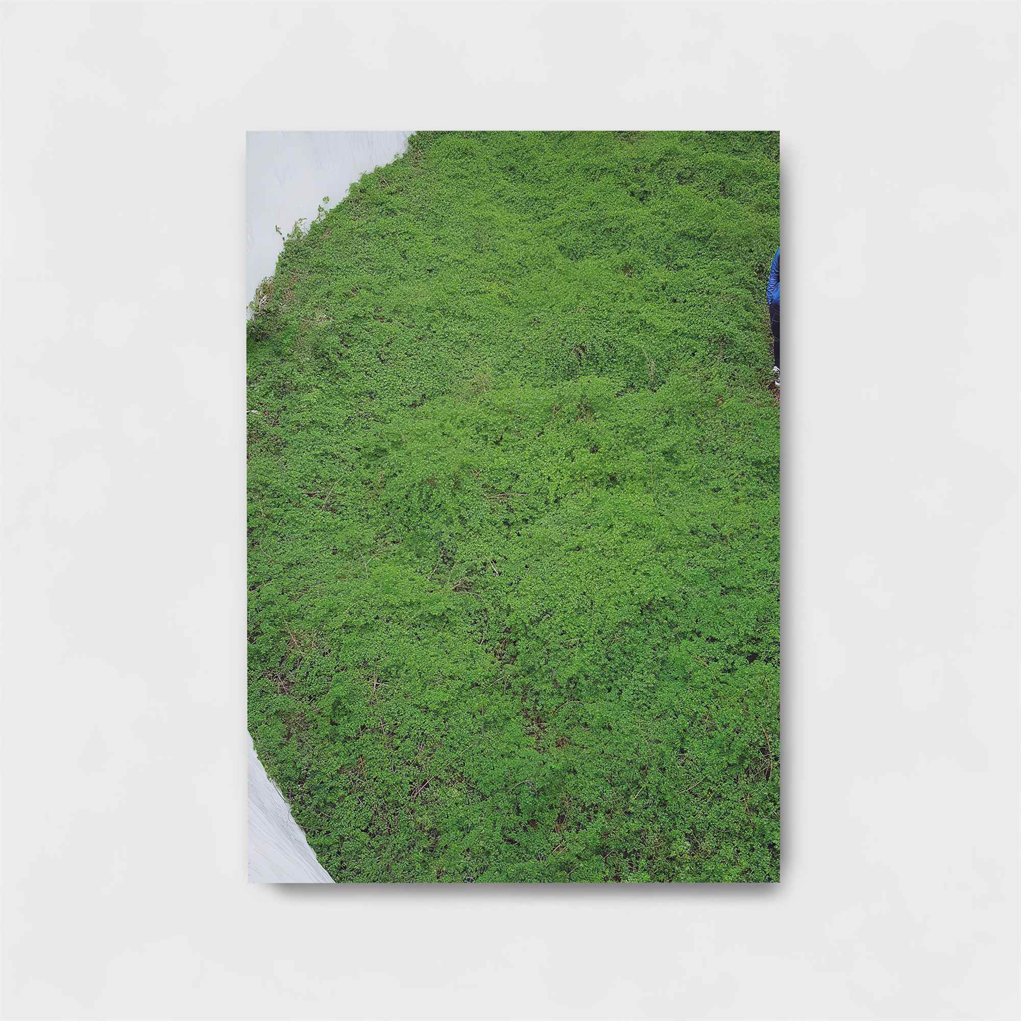 Pathway Serenity Safe Wall Magnetic / M