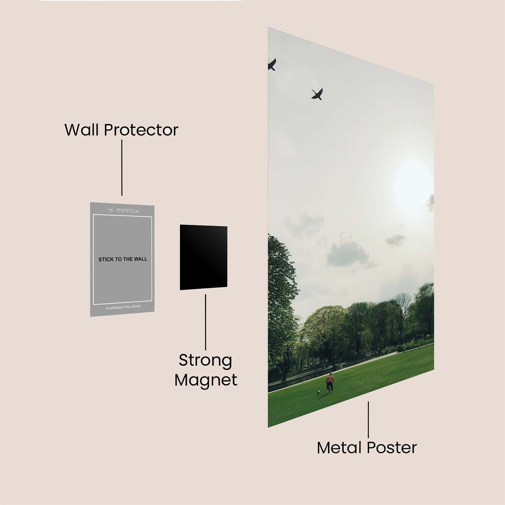 Birds Serenity Safe Wall Magnetic / M