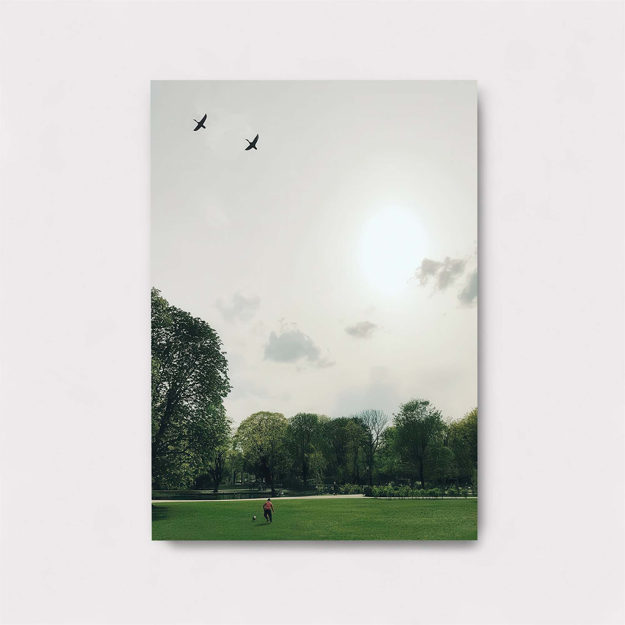 Birds Serenity Safe Wall Magnetic / M