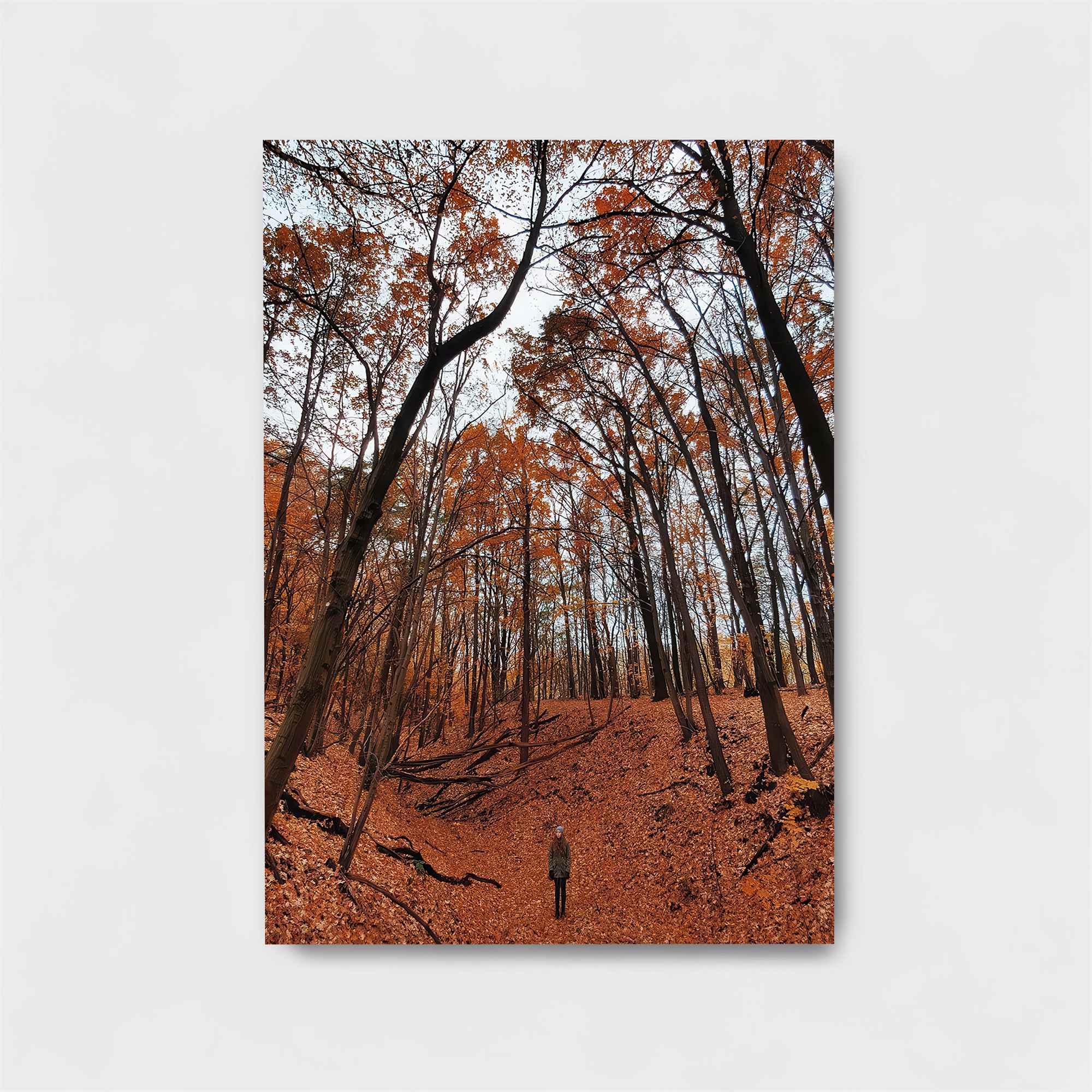 Autumn Solitude Safe Wall Magnetic / M