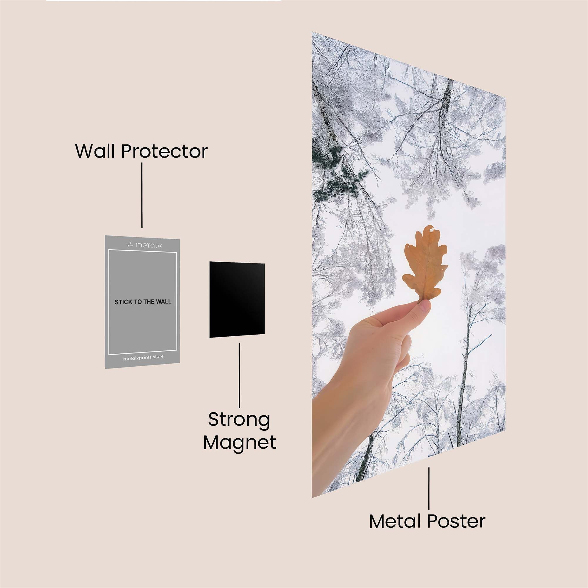 Oak Solitude Safe Wall Magnetic / M