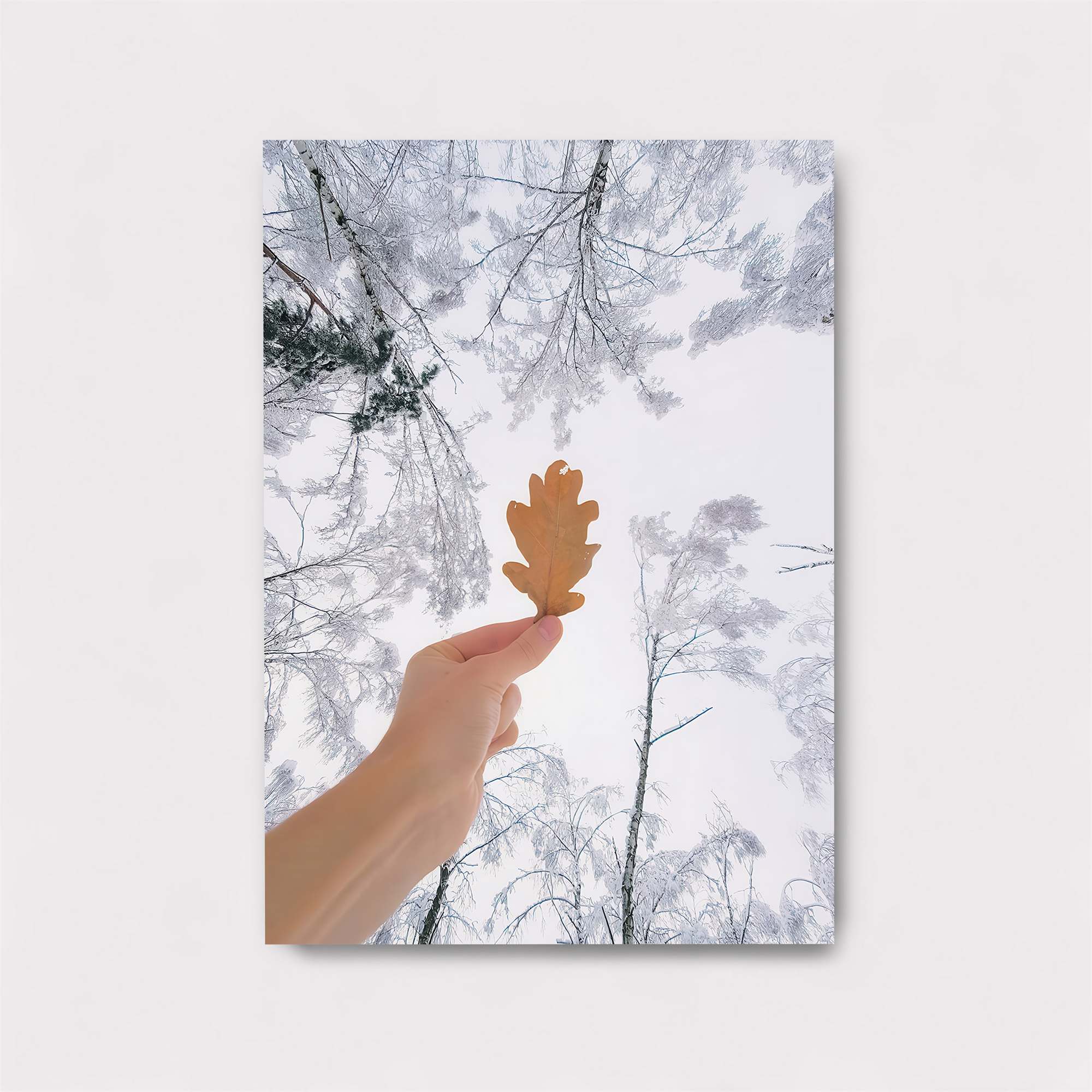 Oak Solitude Safe Wall Magnetic / M