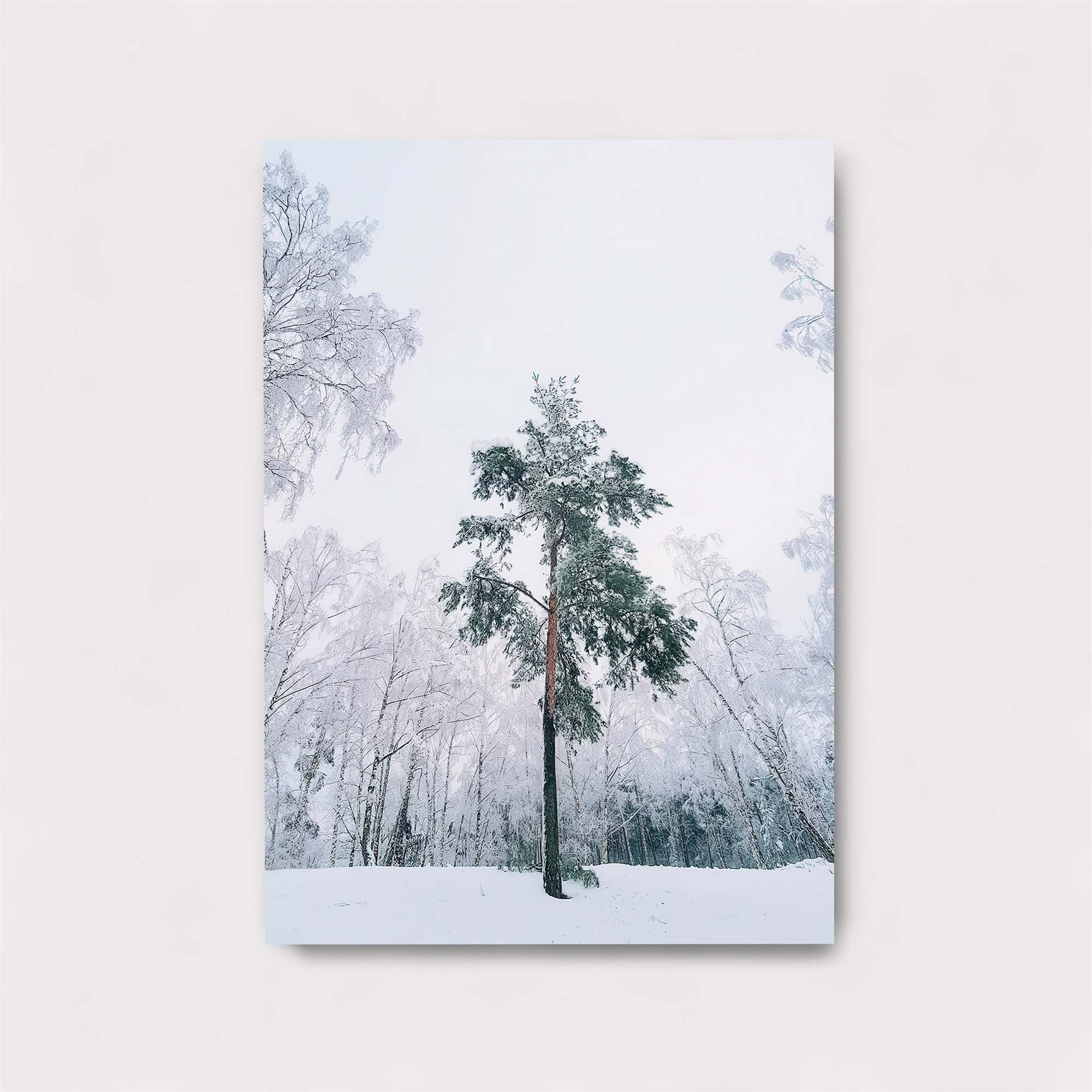 Pine Solitude Safe Wall Magnetic / M